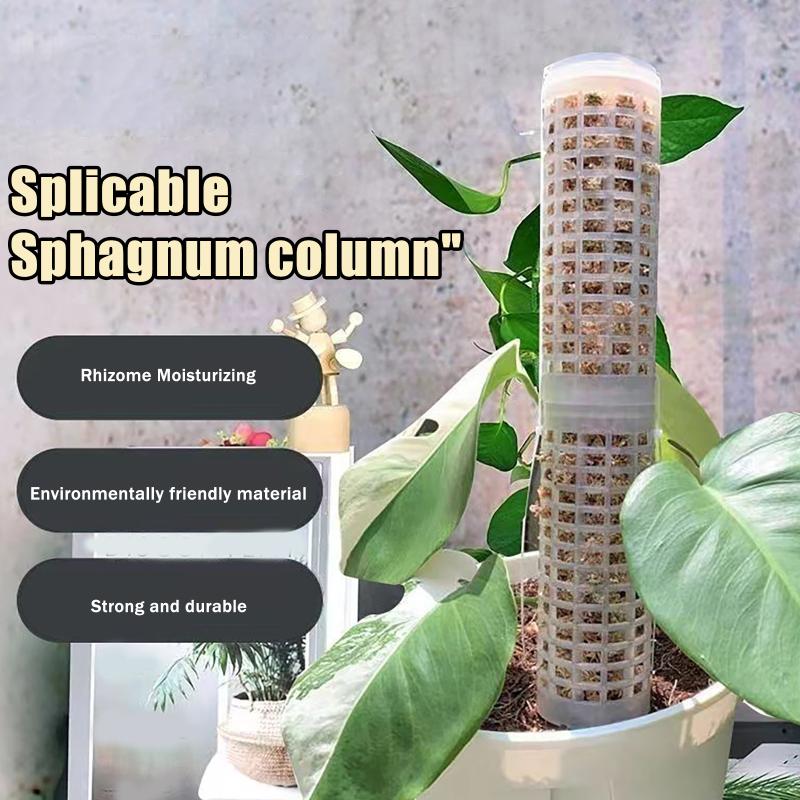 Sphagnum Moss Dry - 6Pcs Moss Pole Plastic Plant Stand