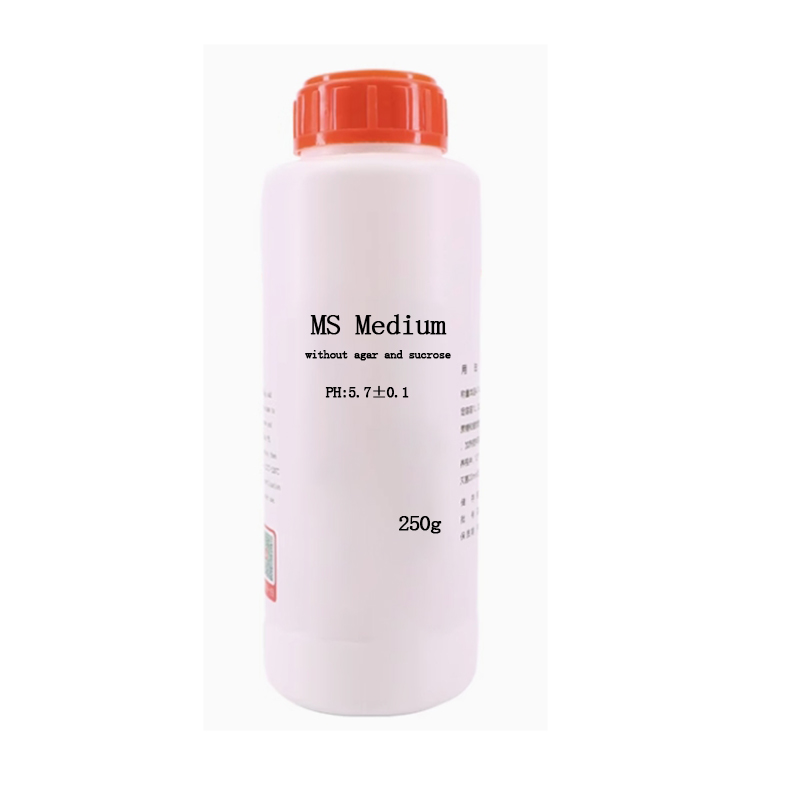 MS Medium Without Agar Or Sucr - Agar Tissue Culture ulasan dan harga