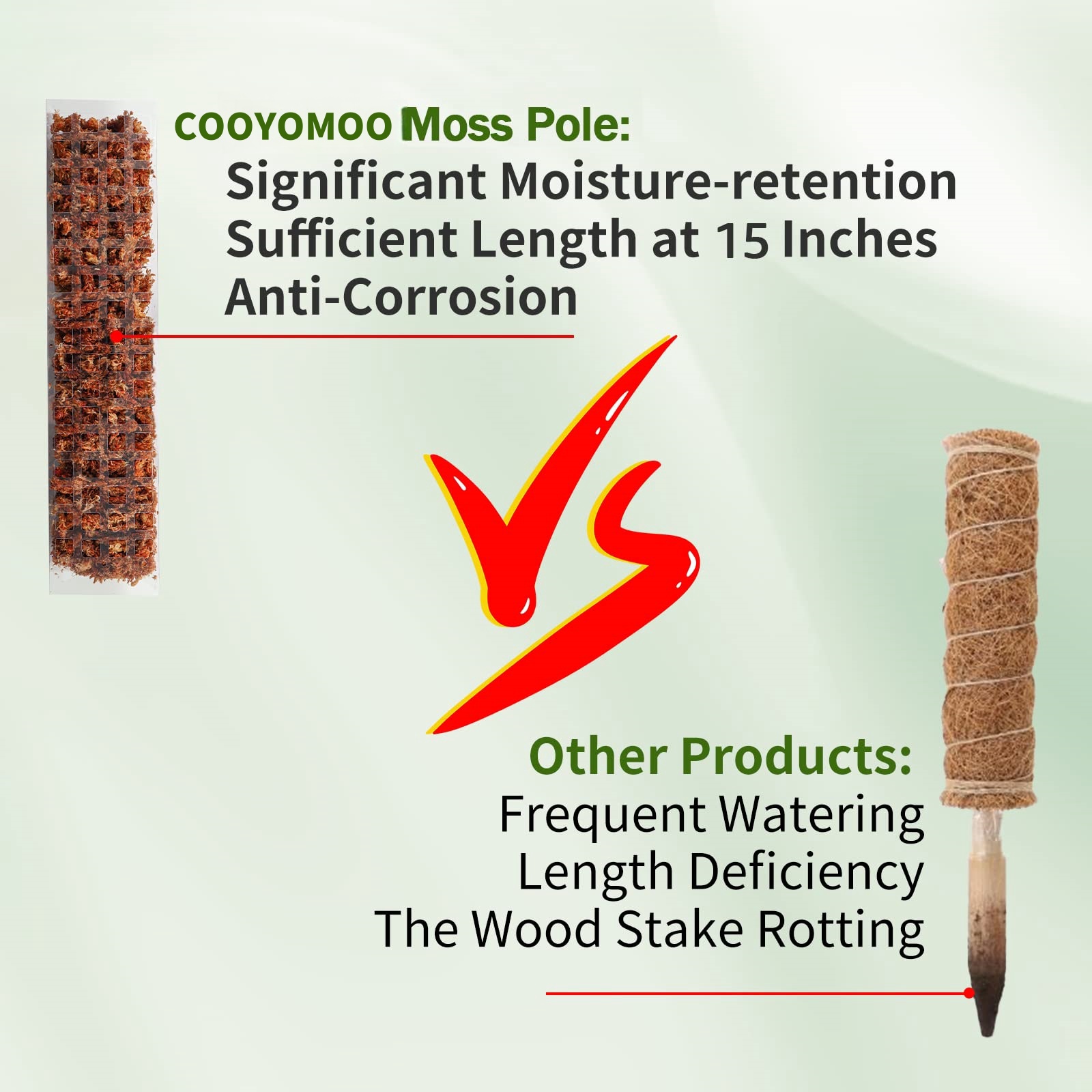 Moss Poles Plants Plant Suppor - Sphagnum Moss Dry ulasan dan harga