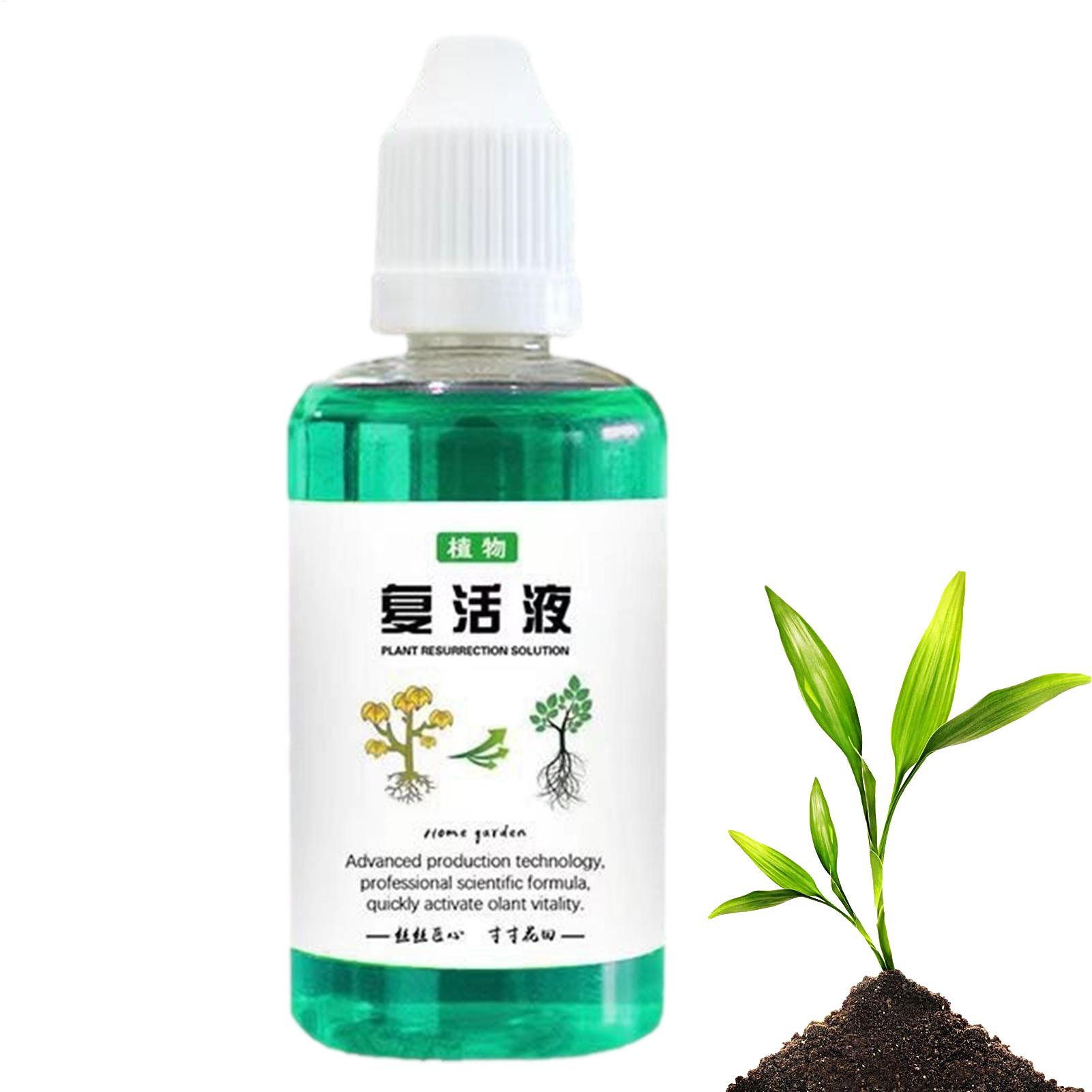 50ml Root Stimulator Plant Res - Root Stimulator Liquid ulasan dan harga
