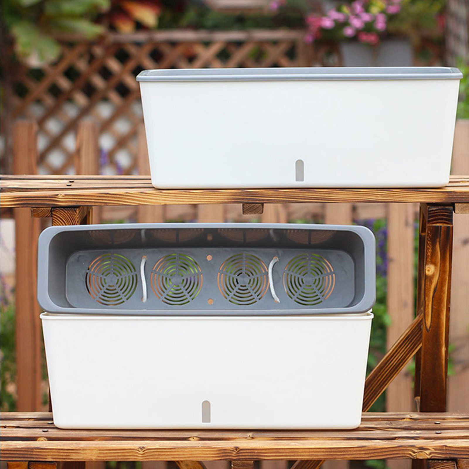Self-Watering Planter Pots wit - Self Watering Insert ulasan dan harga