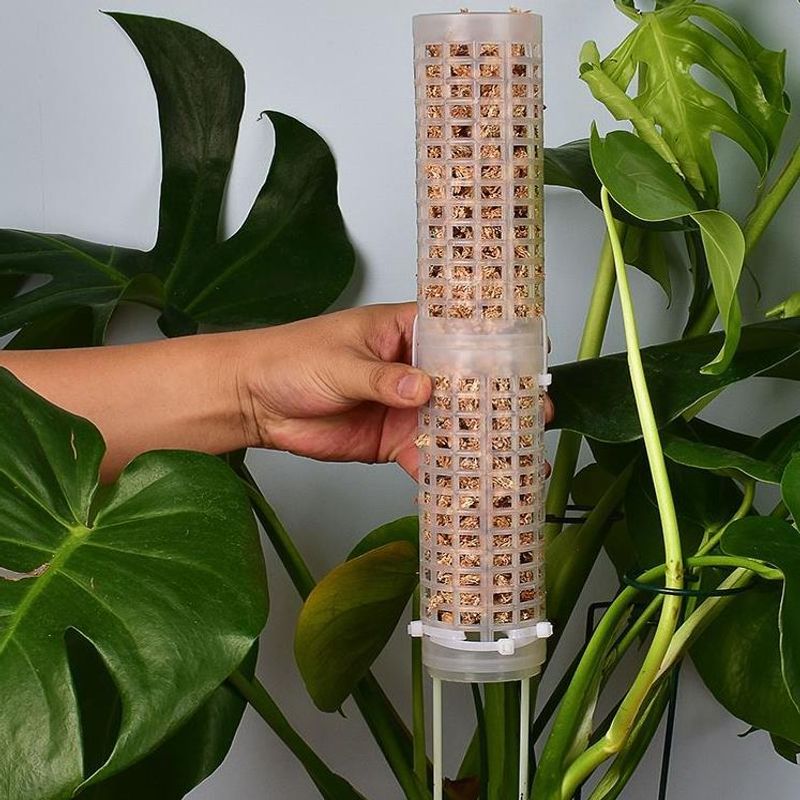 Accessory Plastics Moss Pole S - Sphagnum Moss Dry ulasan dan harga
