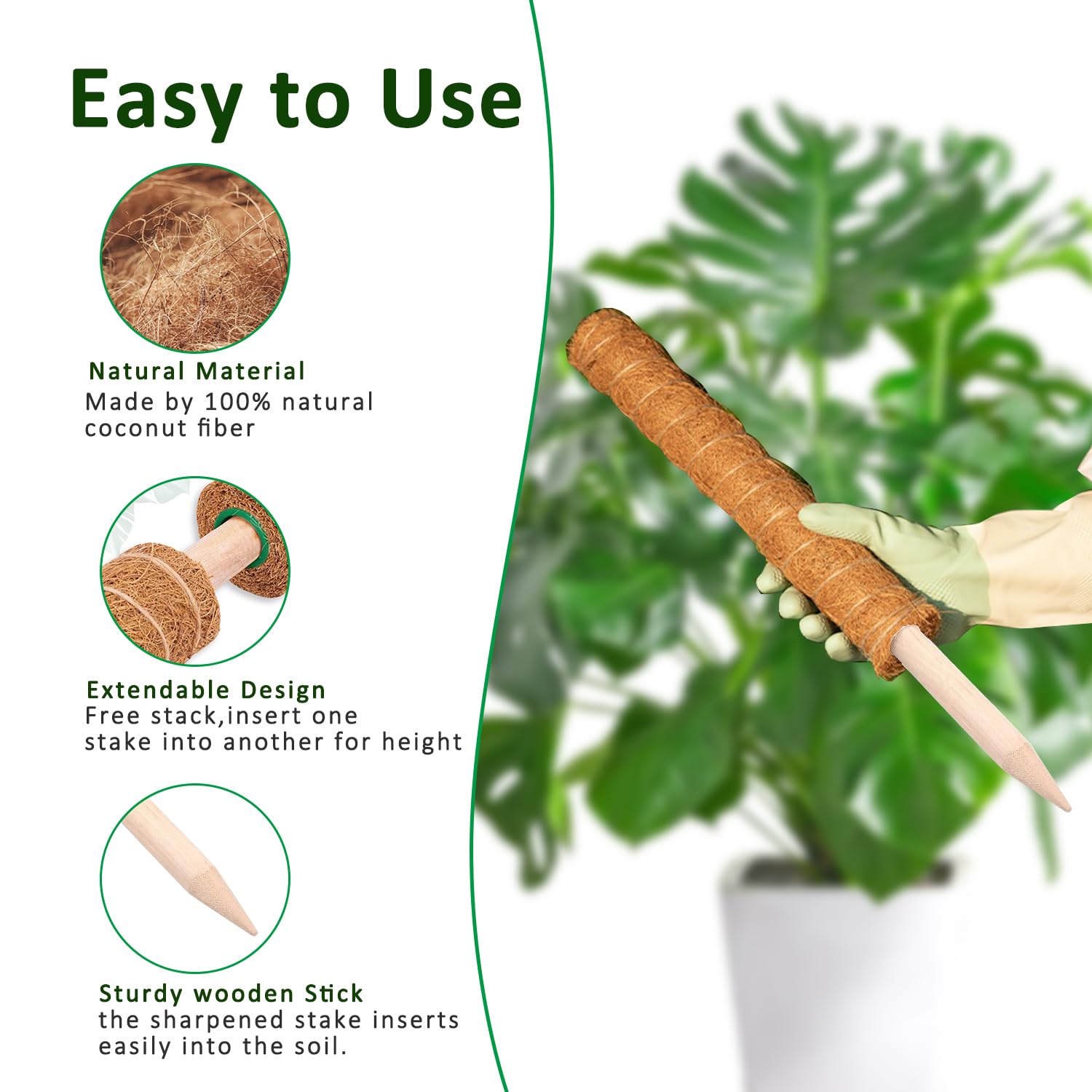 Moss Pole 38/43/53CM Monstera  - Sphagnum Moss Dry ulasan dan harga
