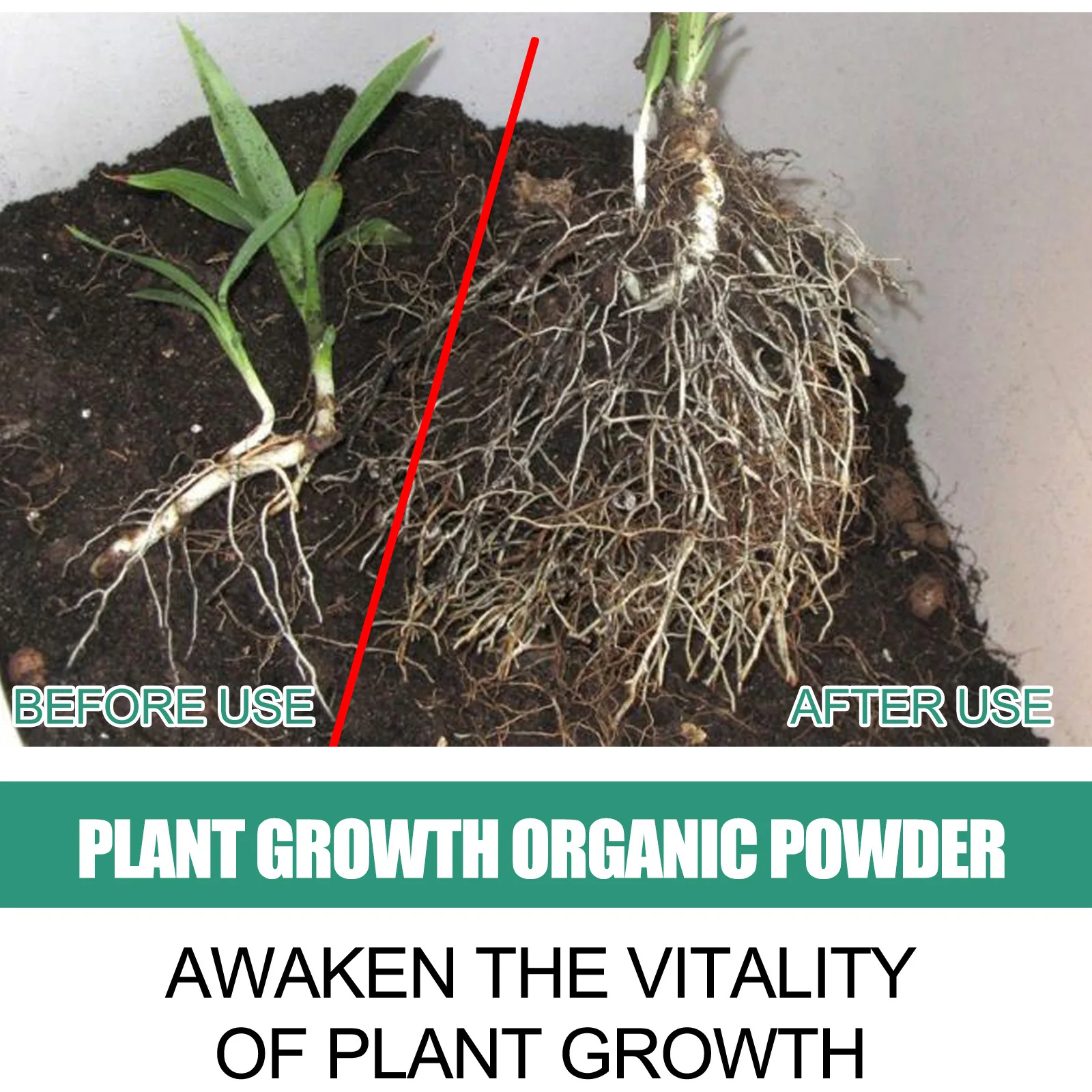 Fast Rooting Powder Plant Soil - Rooting Hormone Powder ulasan dan harga