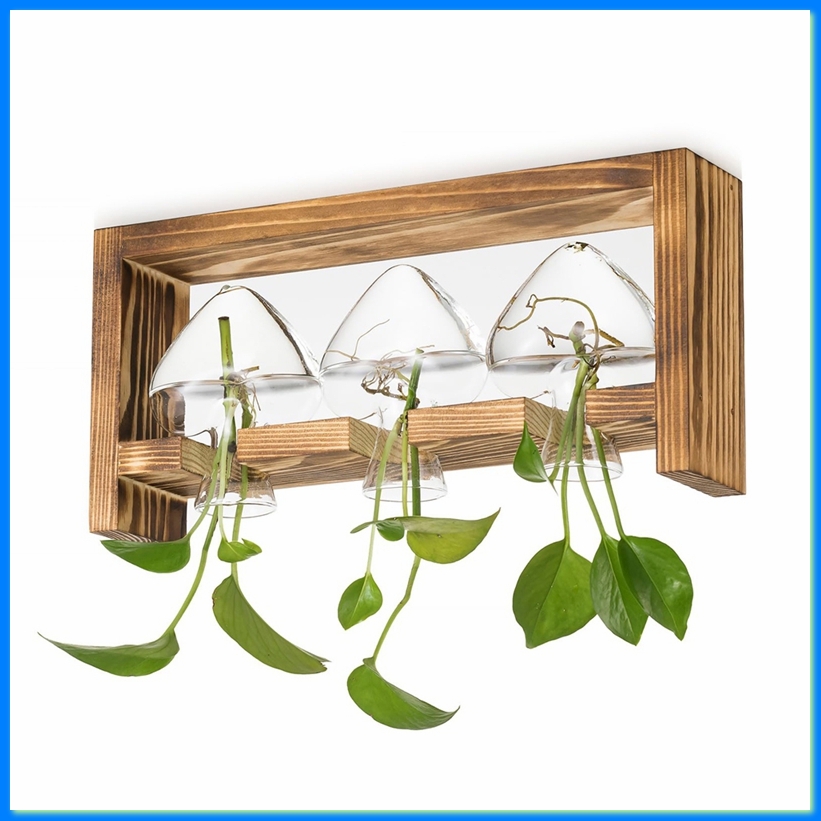 Glass Propagation Station for  - Propagation Station Vase ulasan dan harga