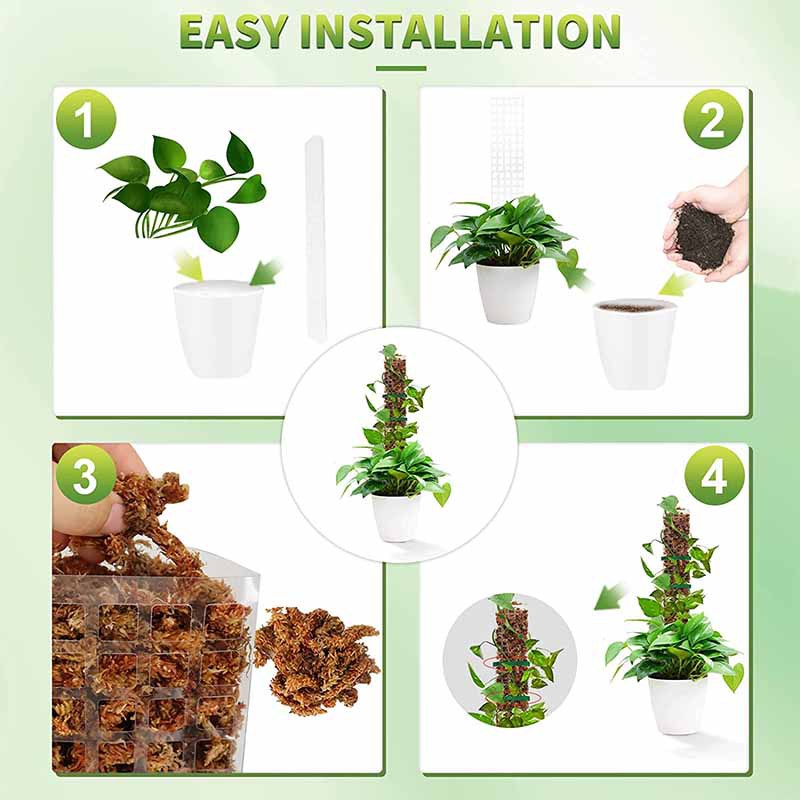 24/36/48Inch Climbing Plant Wa - Sphagnum Moss Dry ulasan dan harga