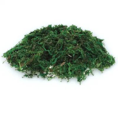 1Pack Natural-Looking Fake Mos - Sphagnum Moss Dry ulasan dan harga