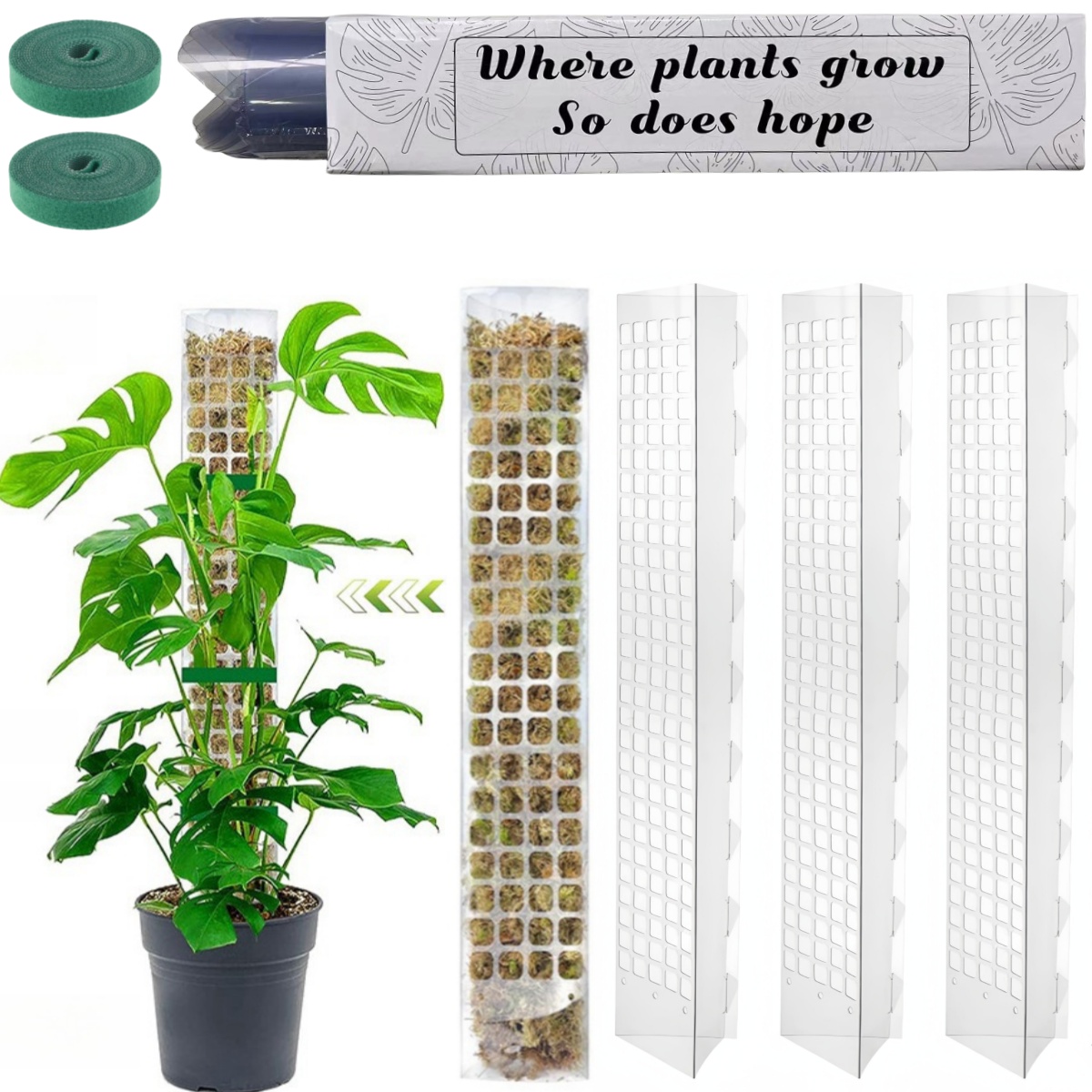 Moss Pole Plastic Plant Stand  - Sphagnum Moss Dry ulasan dan harga