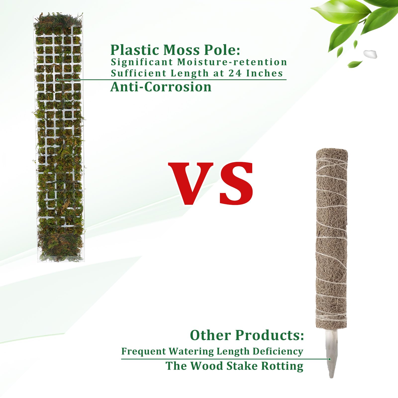 Moss Pole Plastic Plant Stand  - Sphagnum Moss Dry ulasan dan harga