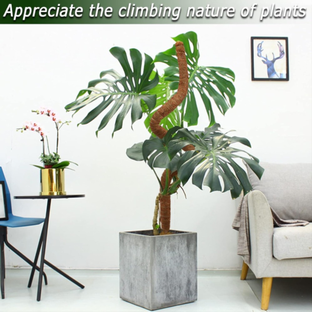 30-100cm Bendable Plants Climb - Sphagnum Moss Dry ulasan dan harga