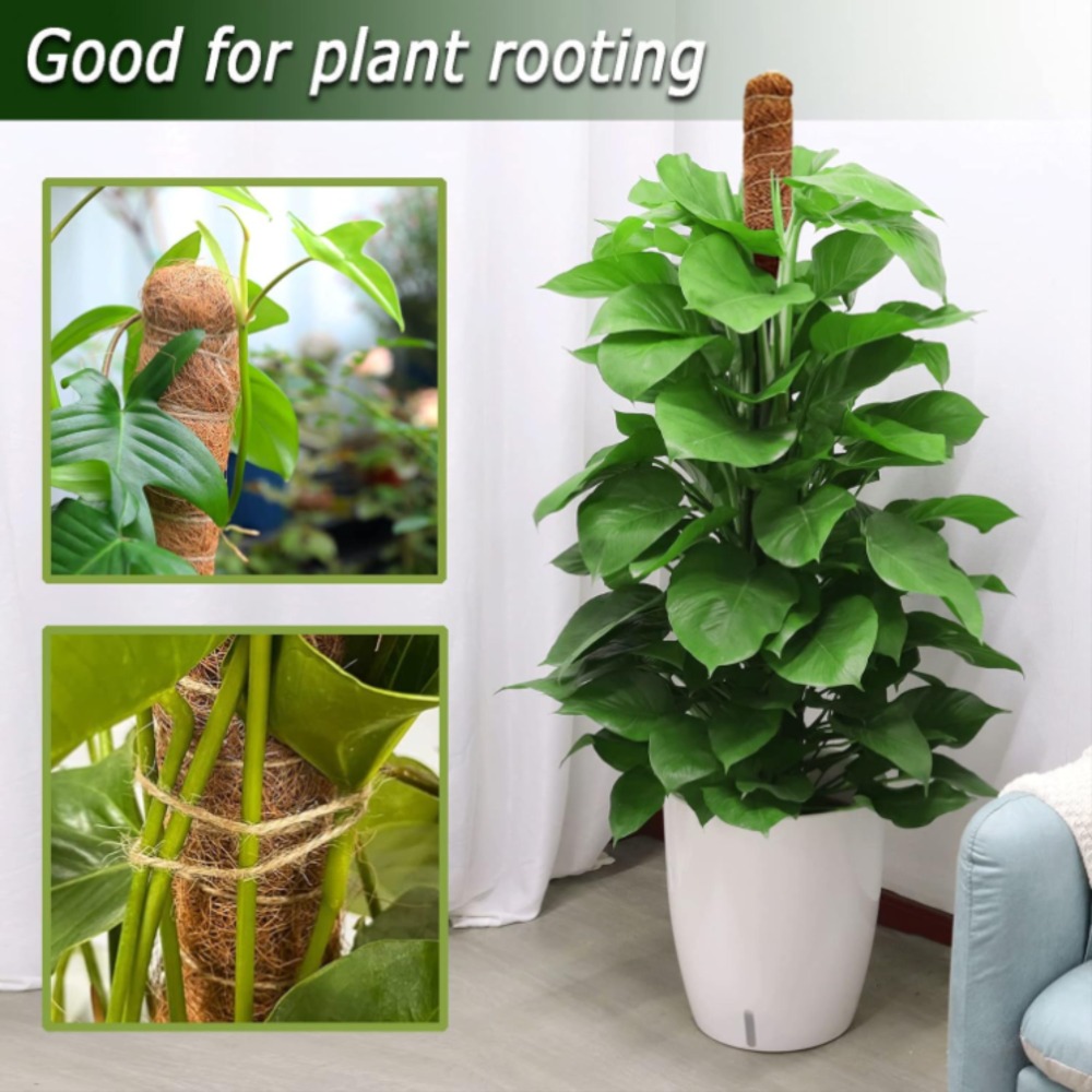 30-100cm Bendable Plants Climb - Sphagnum Moss Dry ulasan dan harga
