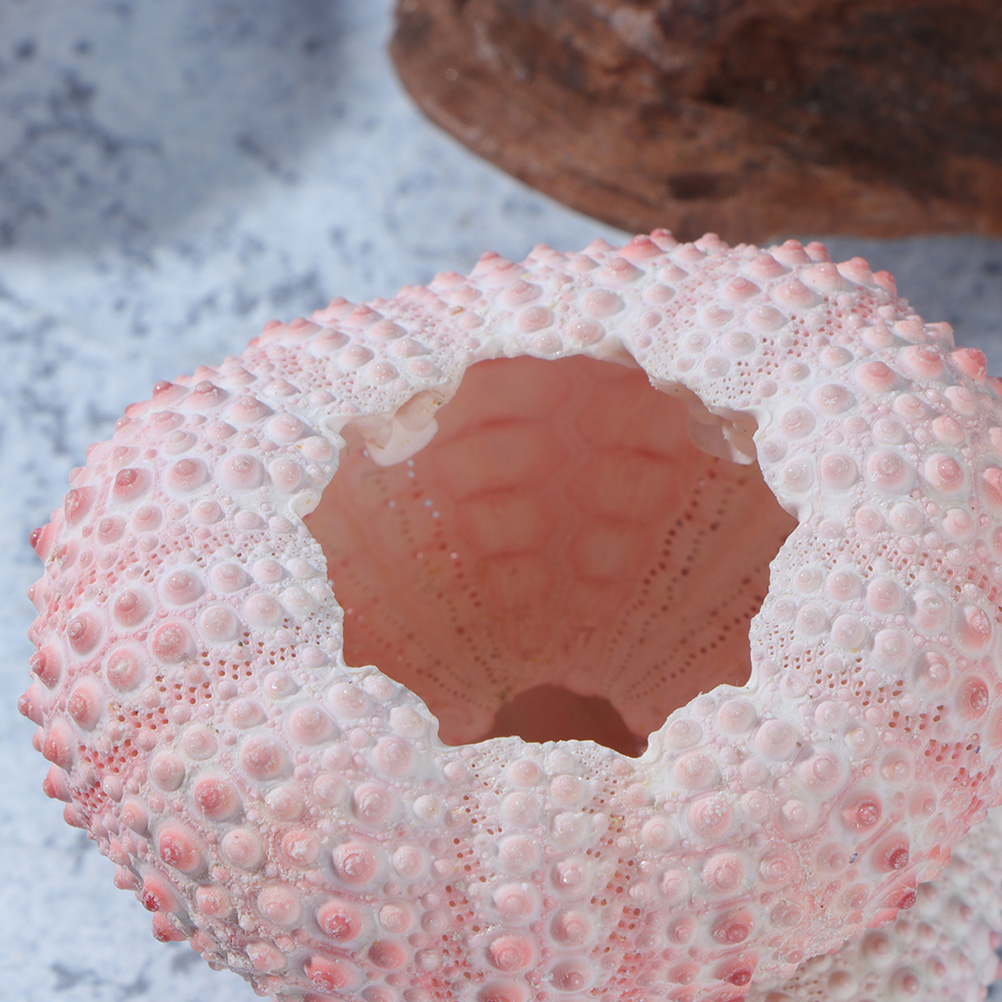 10Pcs DIY Jewelry Making Sea S - Propagation Station Vase ulasan dan harga