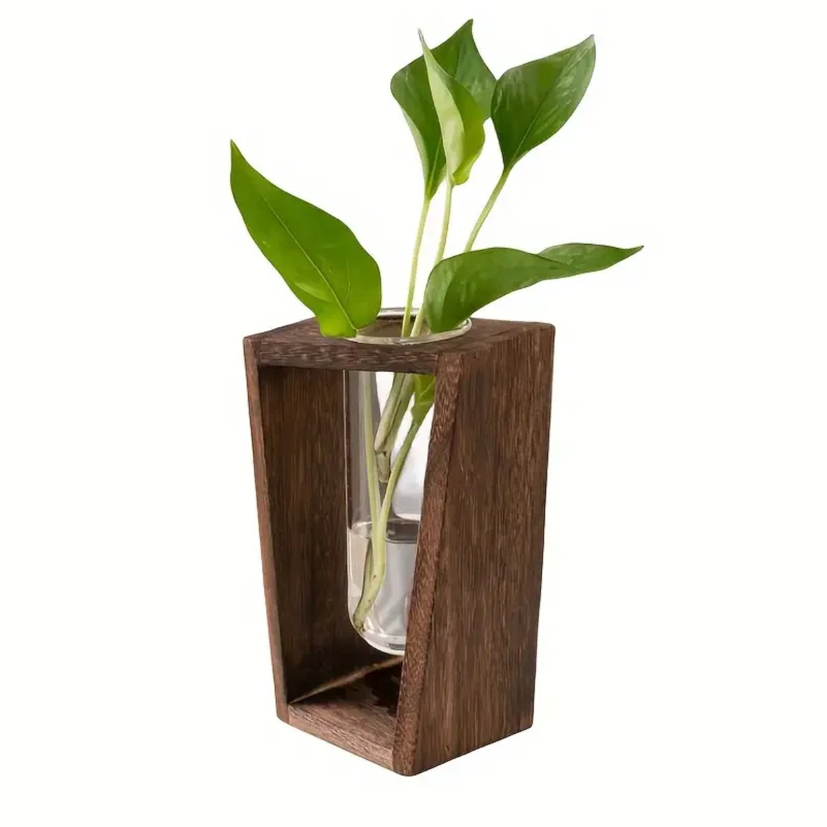 Plant Propagation Station Hydr - Propagation Station Vase ulasan dan harga