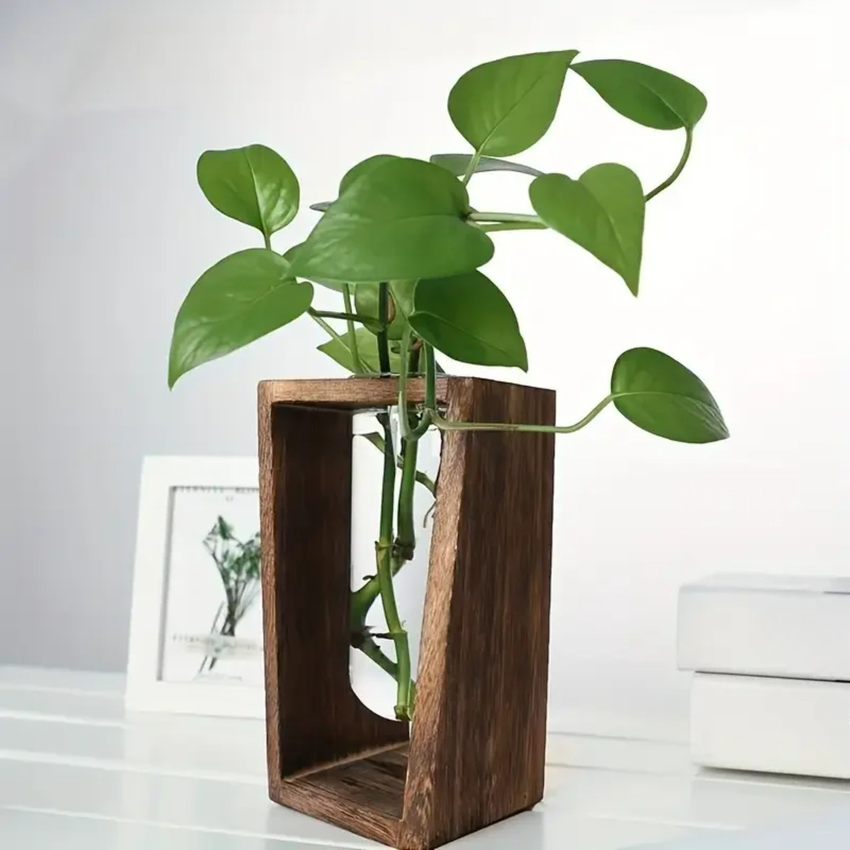 Plant Propagation Station Hydr - Propagation Station Vase ulasan dan harga