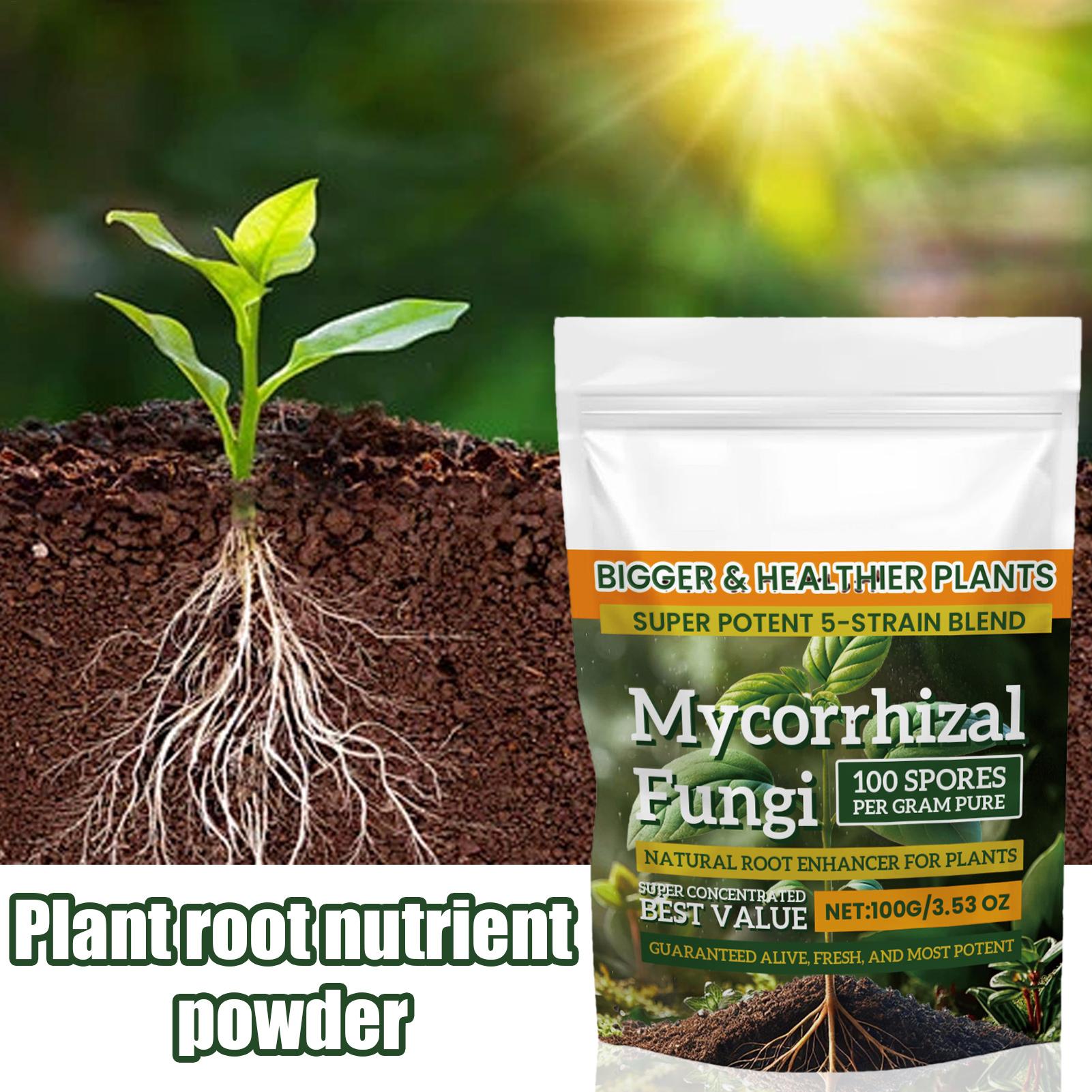 100g Plant Nutrient Powder Pla - Rooting Hormone Powder ulasan dan harga