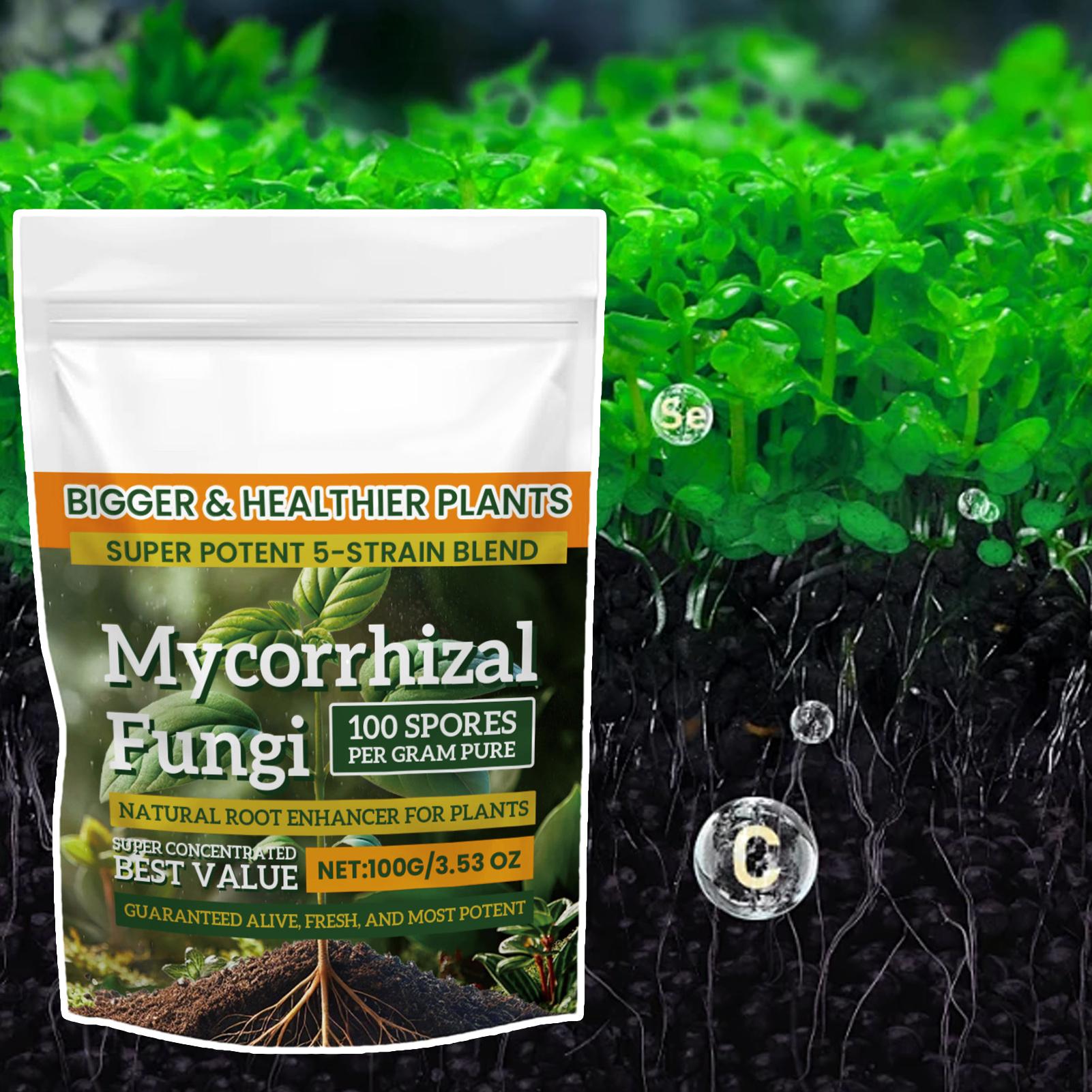 100g Plant Nutrient Powder Pla - Rooting Hormone Powder ulasan dan harga