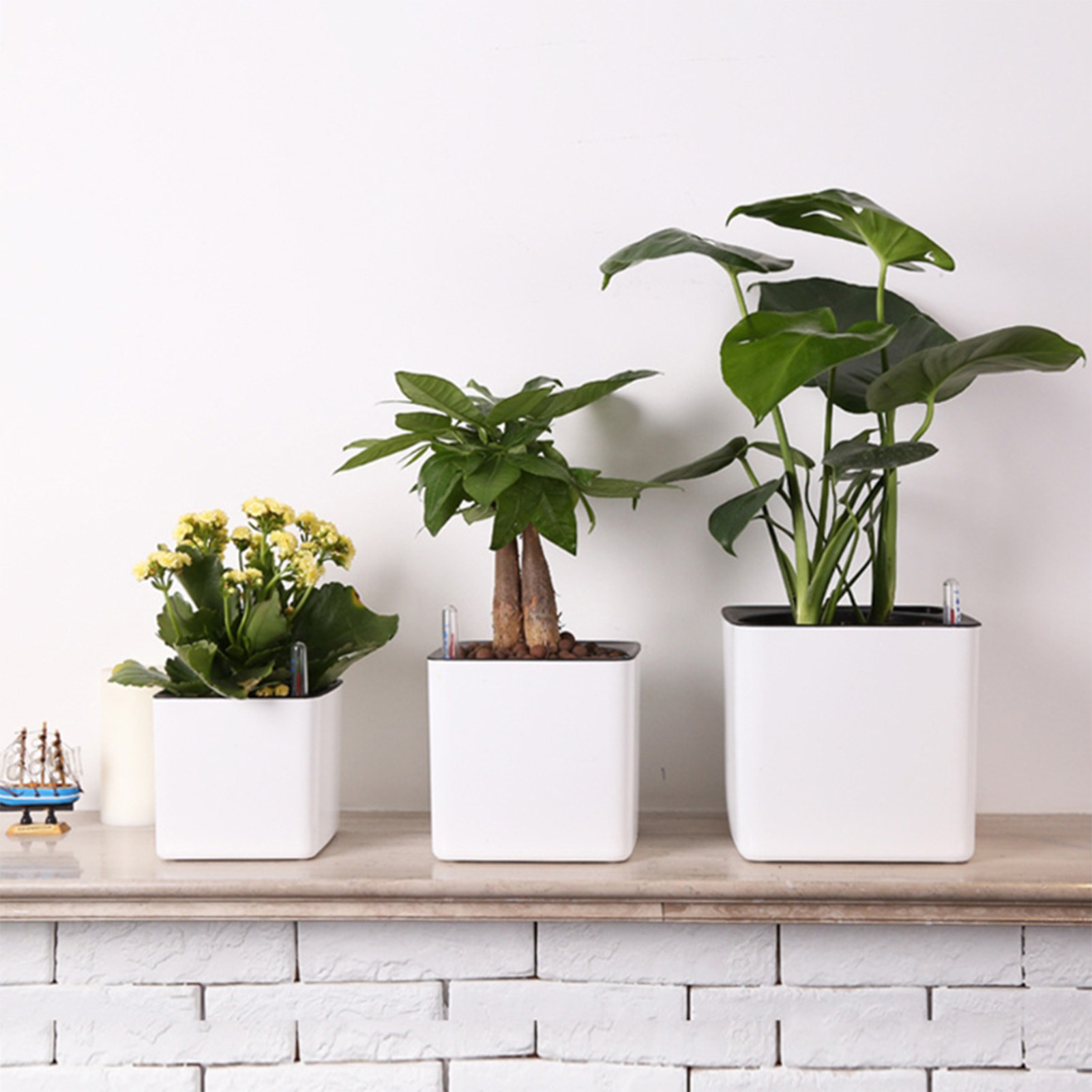 Self Watering Planter Self-wat - Self Watering Insert ulasan dan harga
