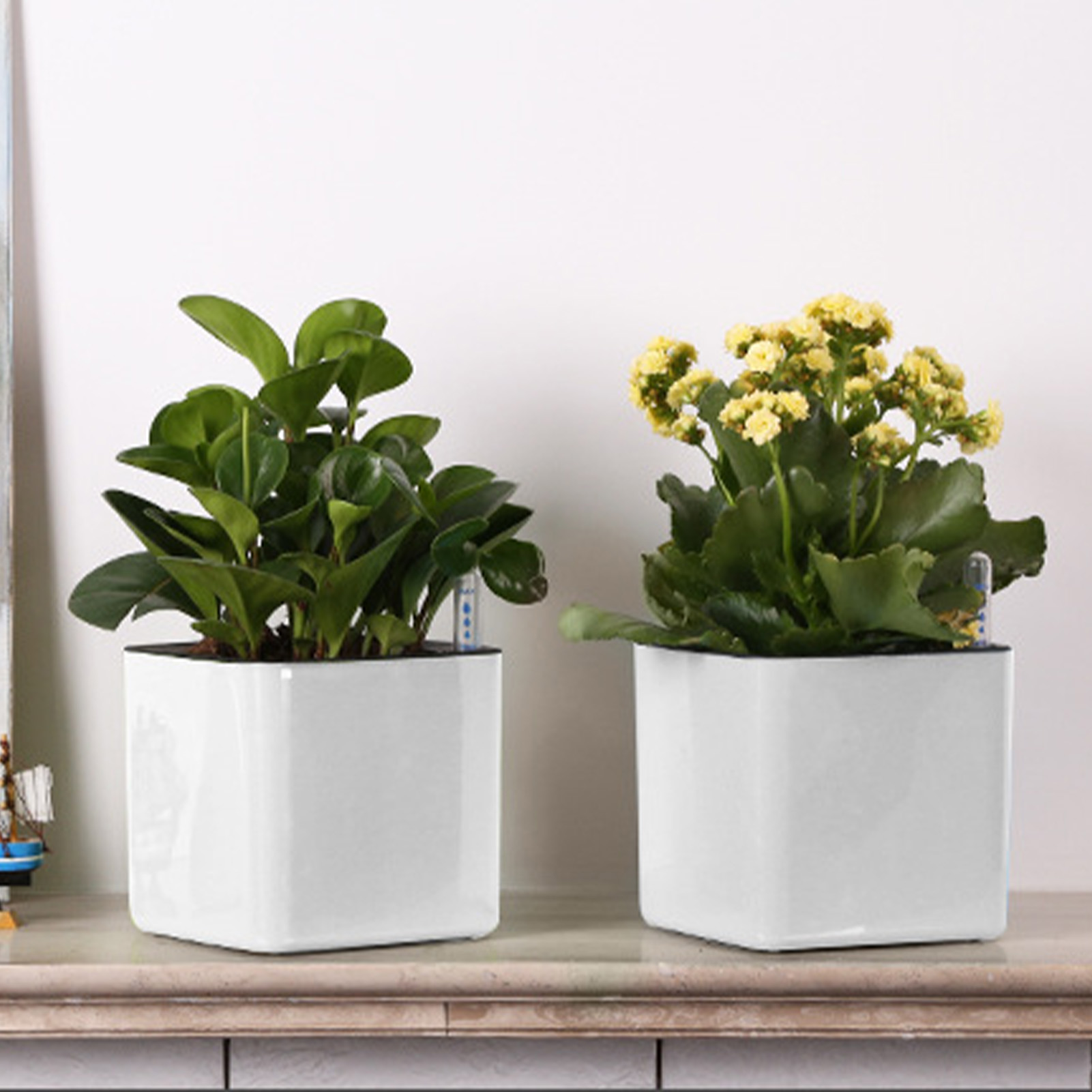 Self Watering Planter Self-wat - Self Watering Insert ulasan dan harga