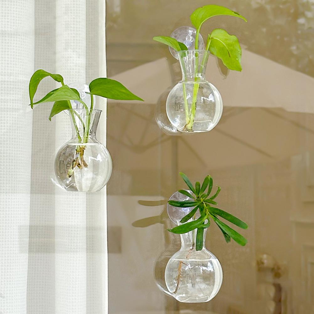 Window Planter Vase Window Pla - Propagation Station Vase ulasan dan harga