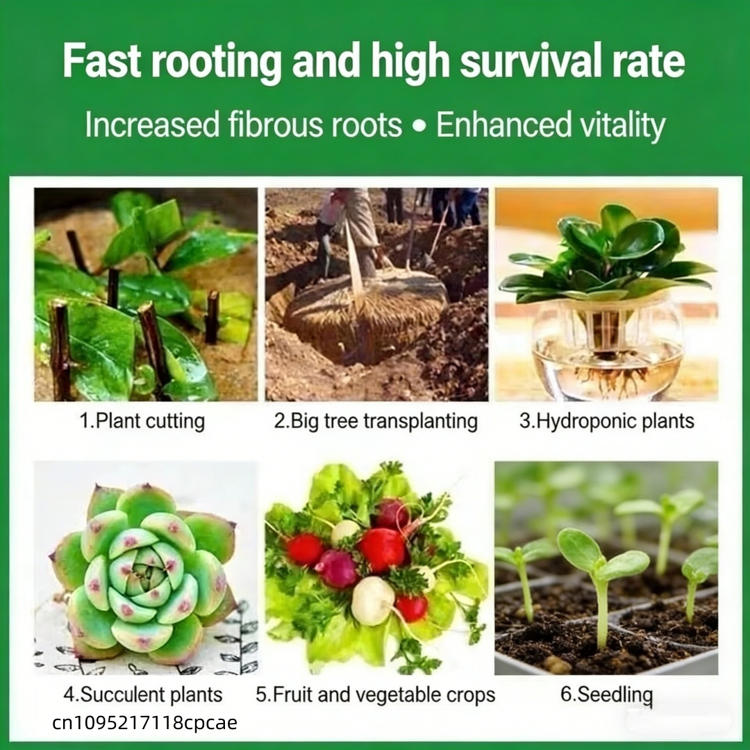 Plant Rooting Powder Indole Bu - Rooting Hormone Powder ulasan dan harga