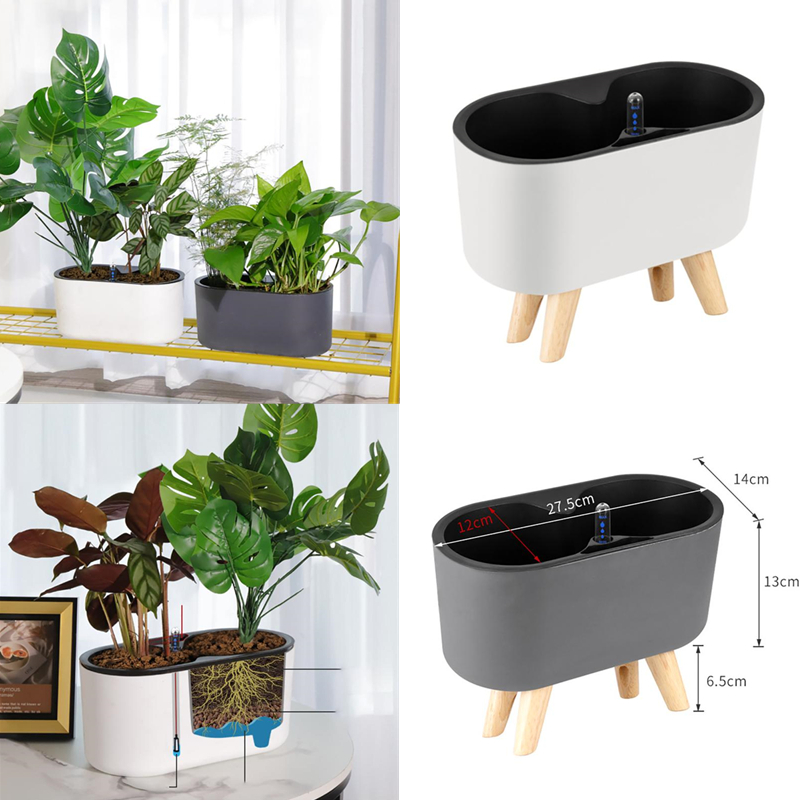 Indoor Plant With Indicator Wo - Self Watering Insert ulasan dan harga