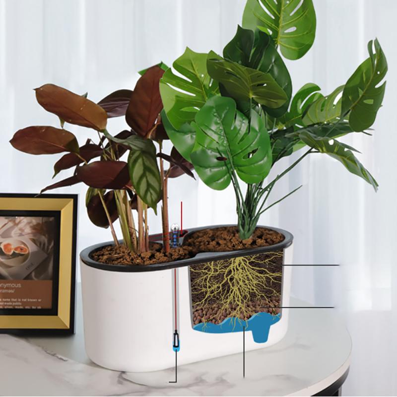 Indoor Plant With Indicator Wo - Self Watering Insert ulasan dan harga
