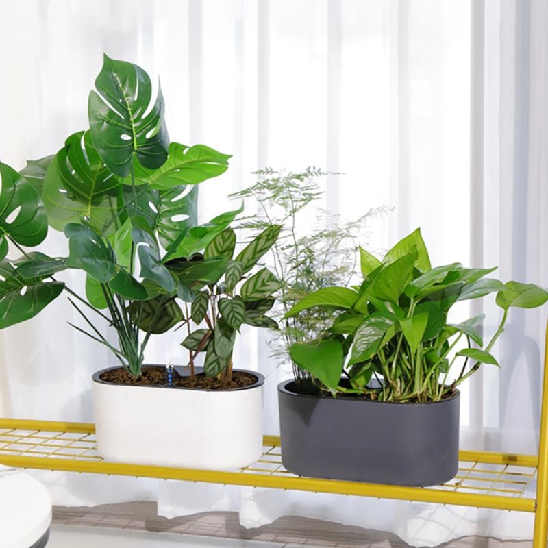 Indoor Plant With Indicator Wo - Self Watering Insert ulasan dan harga