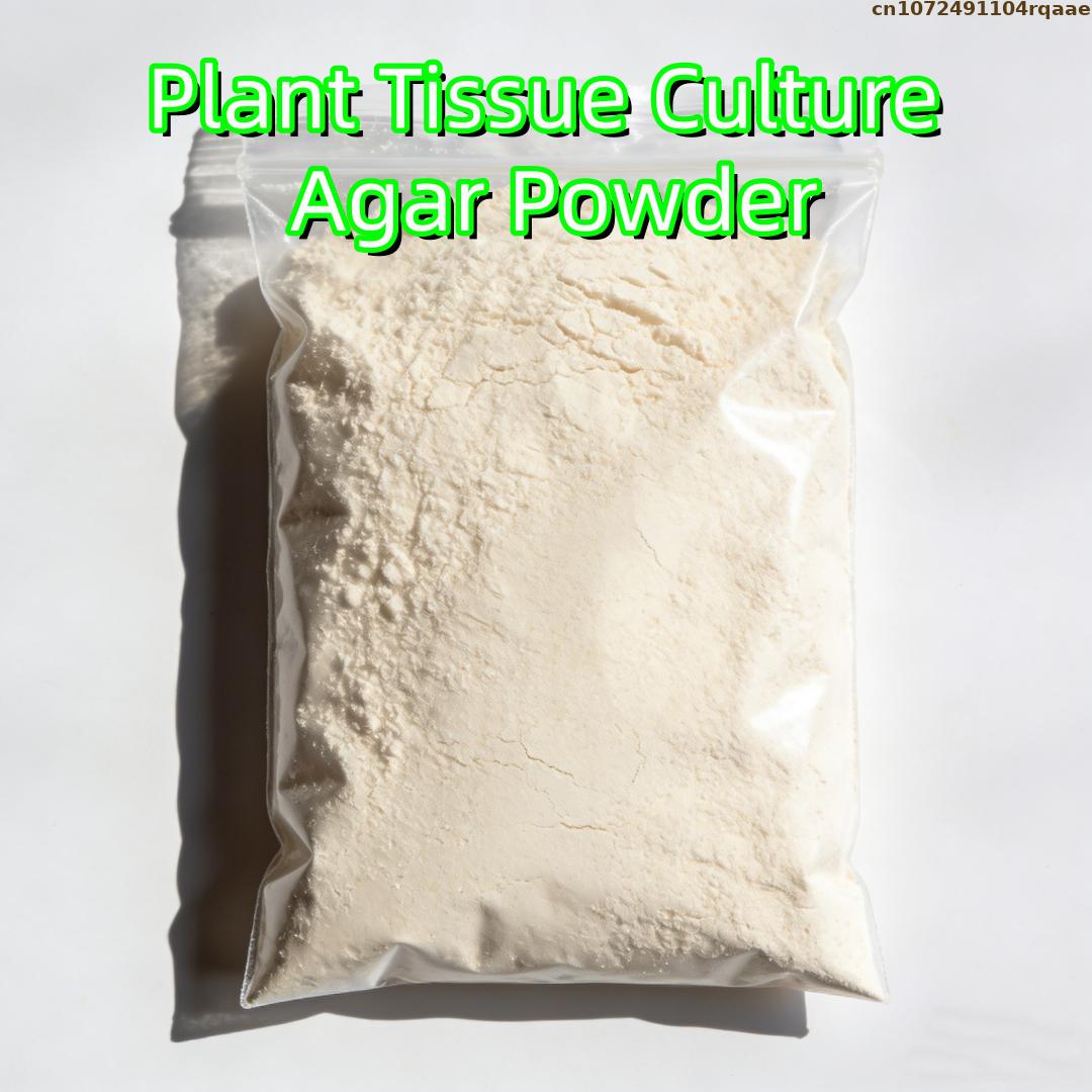 Premium Plant Tissue Culture A - Agar Tissue Culture ulasan dan harga
