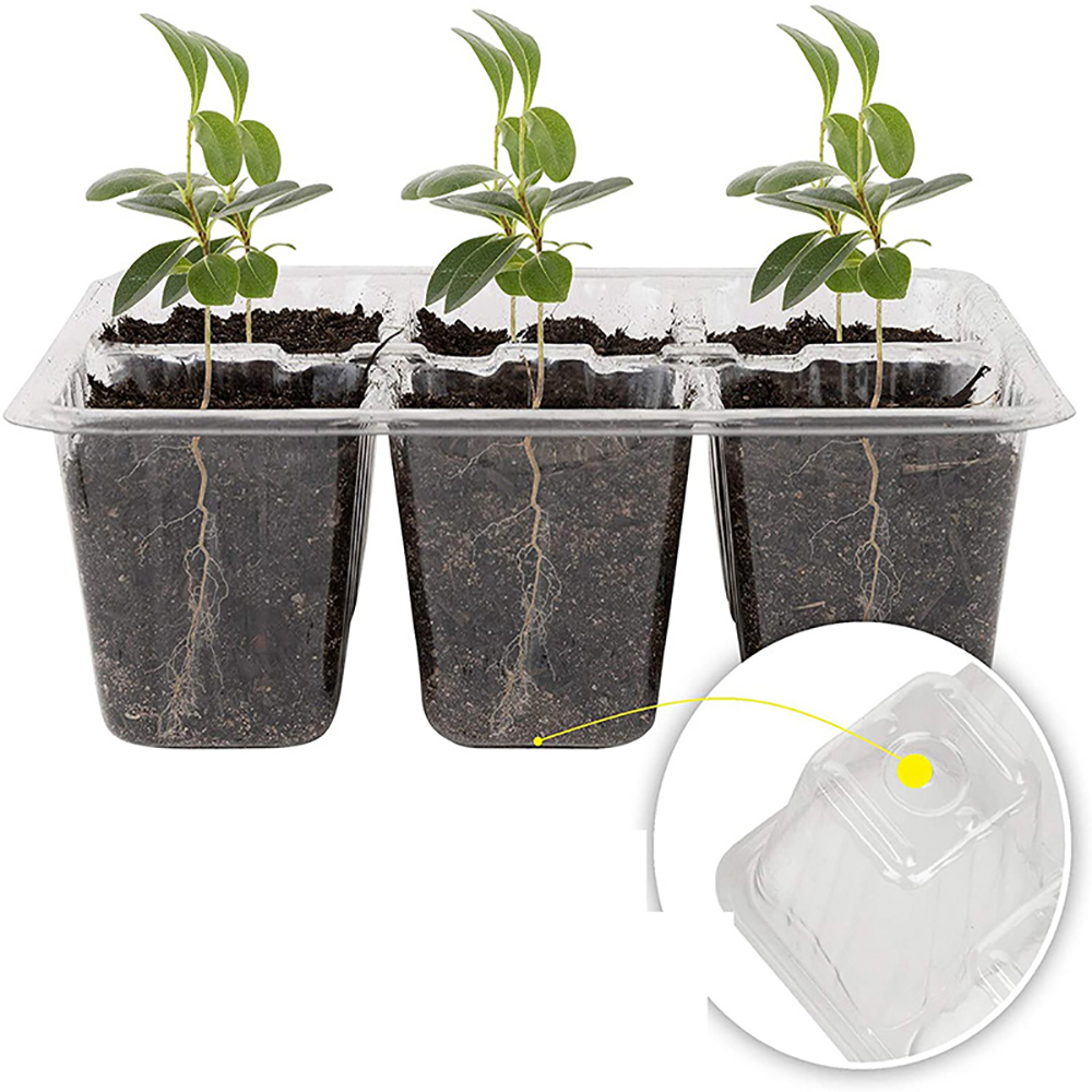 Seed Starter Trays with Grow L - Humidity Dome Kit ulasan dan harga