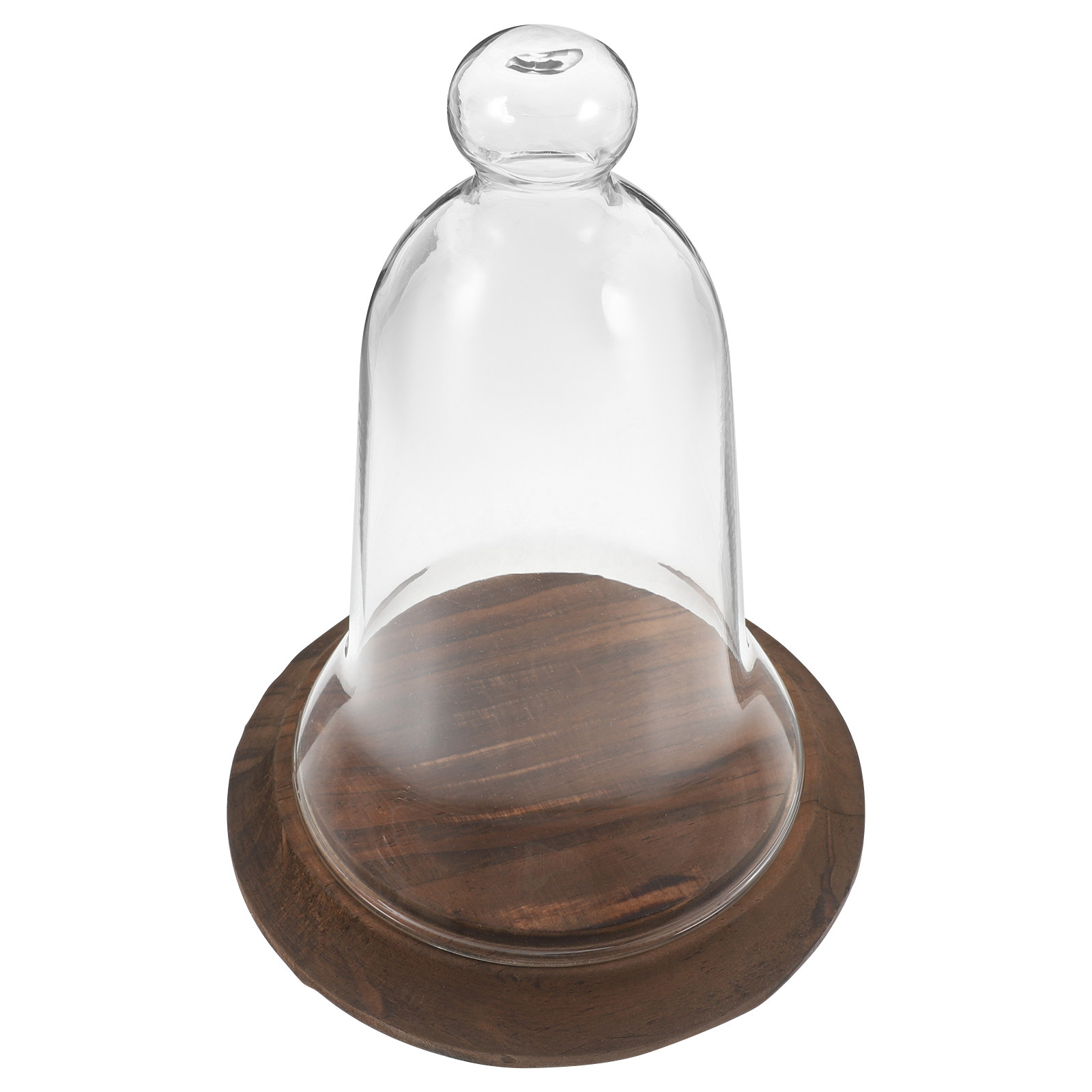 Clear Glass Cloche Dome High B - Plastic Dome Clear ulasan dan harga
