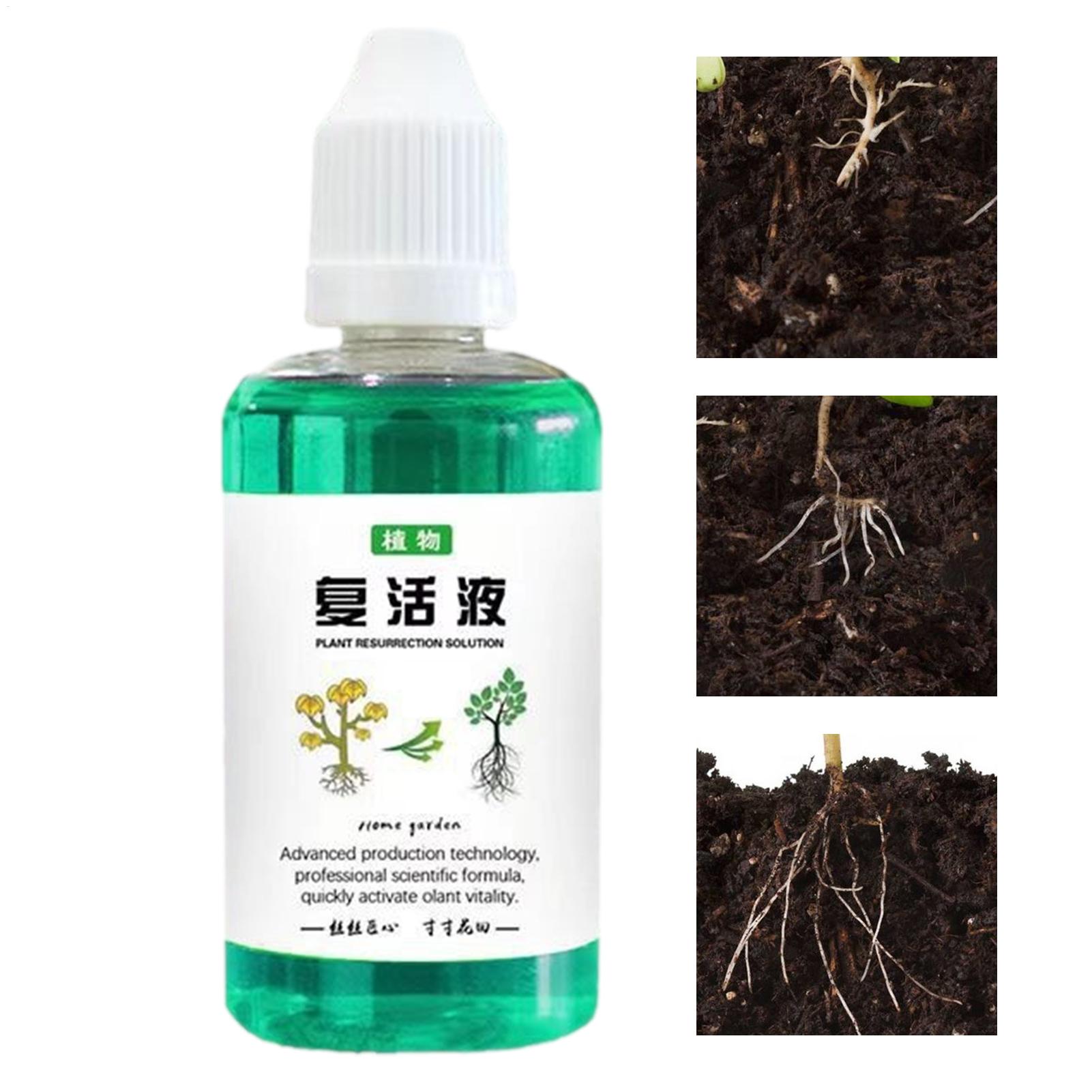 Root Stimulator For Plants 50m - Root Stimulator Liquid ulasan dan harga