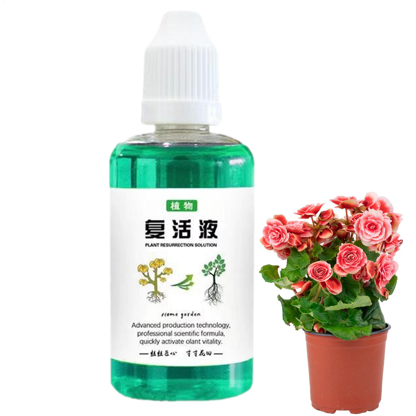 Root Stimulator For Plants 50m - Root Stimulator Liquid ulasan dan harga