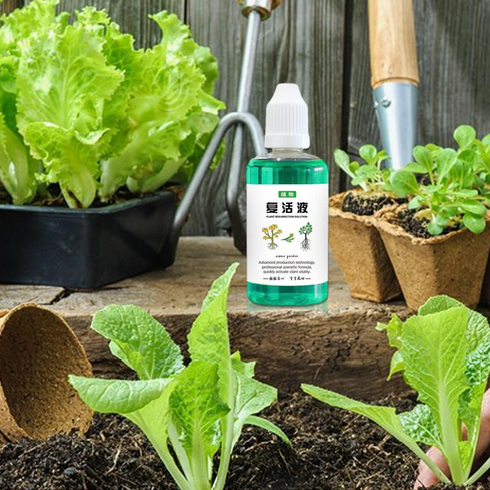 Root Stimulator For Plants 50m - Root Stimulator Liquid ulasan dan harga