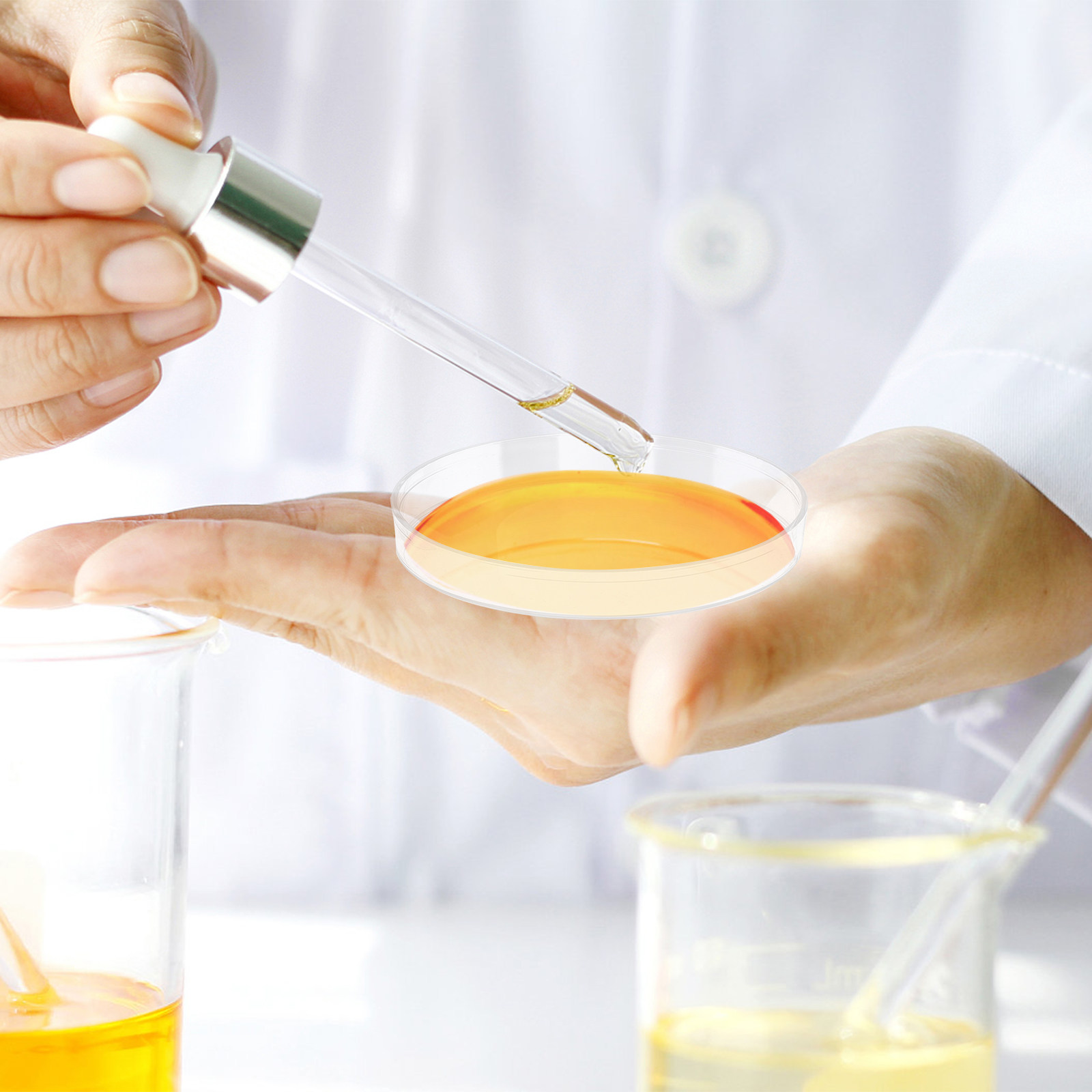 30Pcs Petri Dish Clear Plastic - Agar Tissue Culture ulasan dan harga