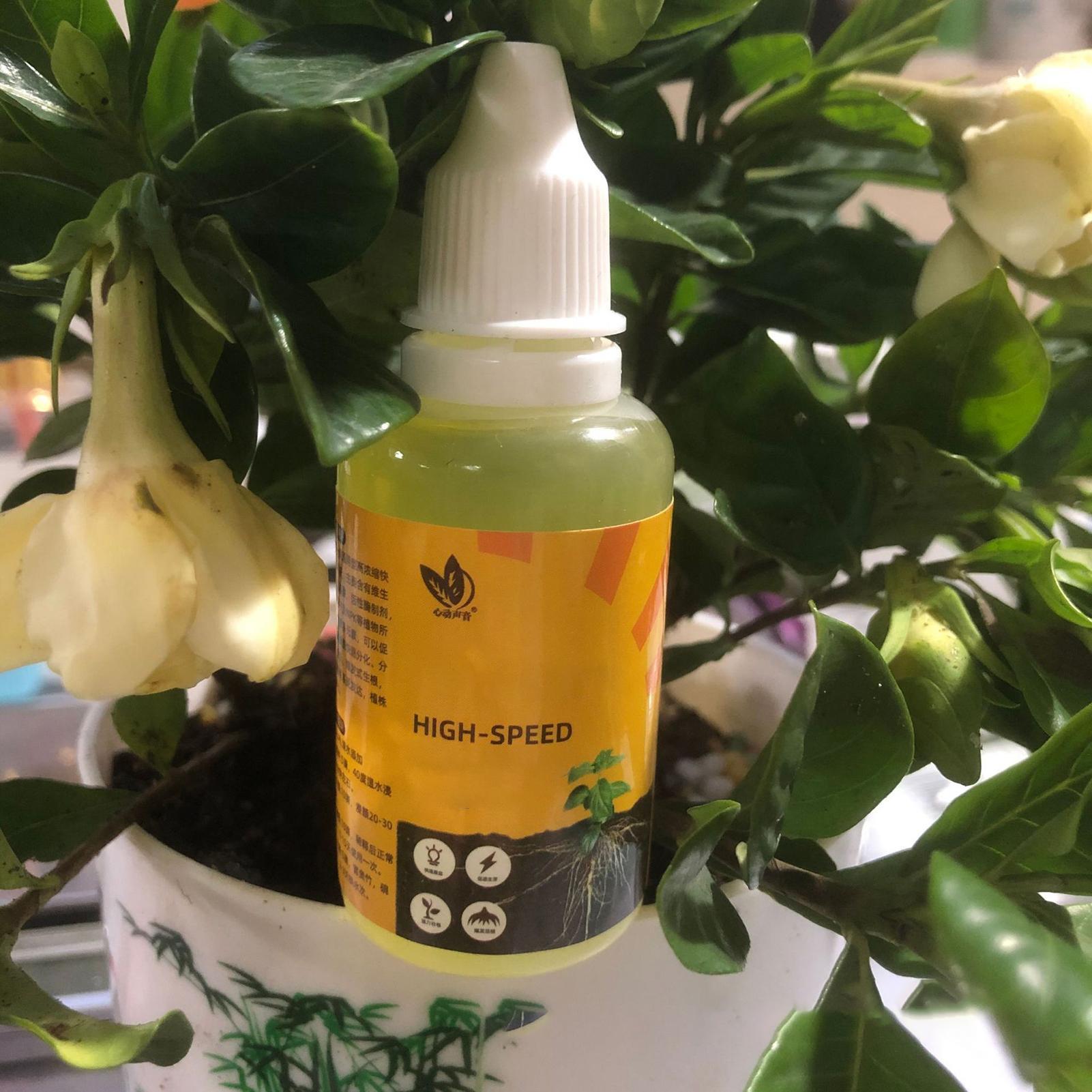 50ml Plant Rooting Stimulator  - Root Stimulator Liquid ulasan dan harga