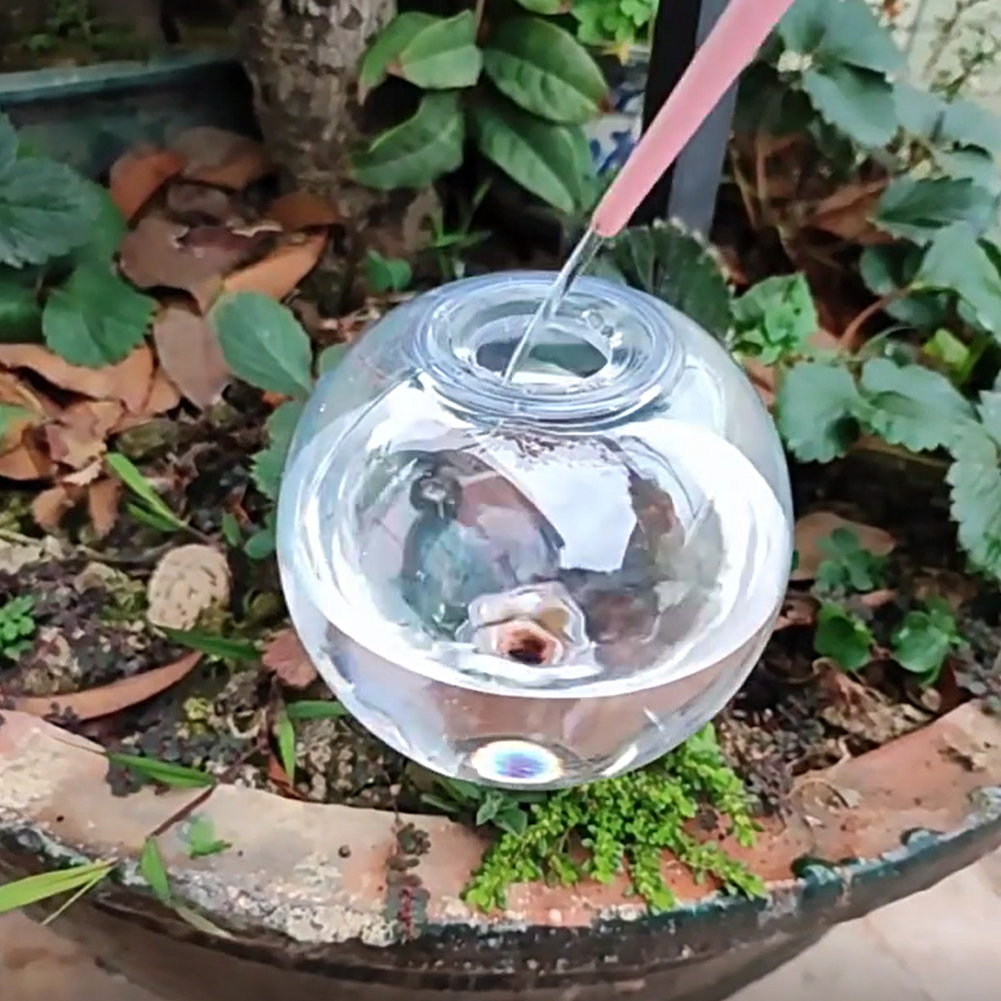 500ML Self Watering Globes Dri - Self Watering Insert ulasan dan harga