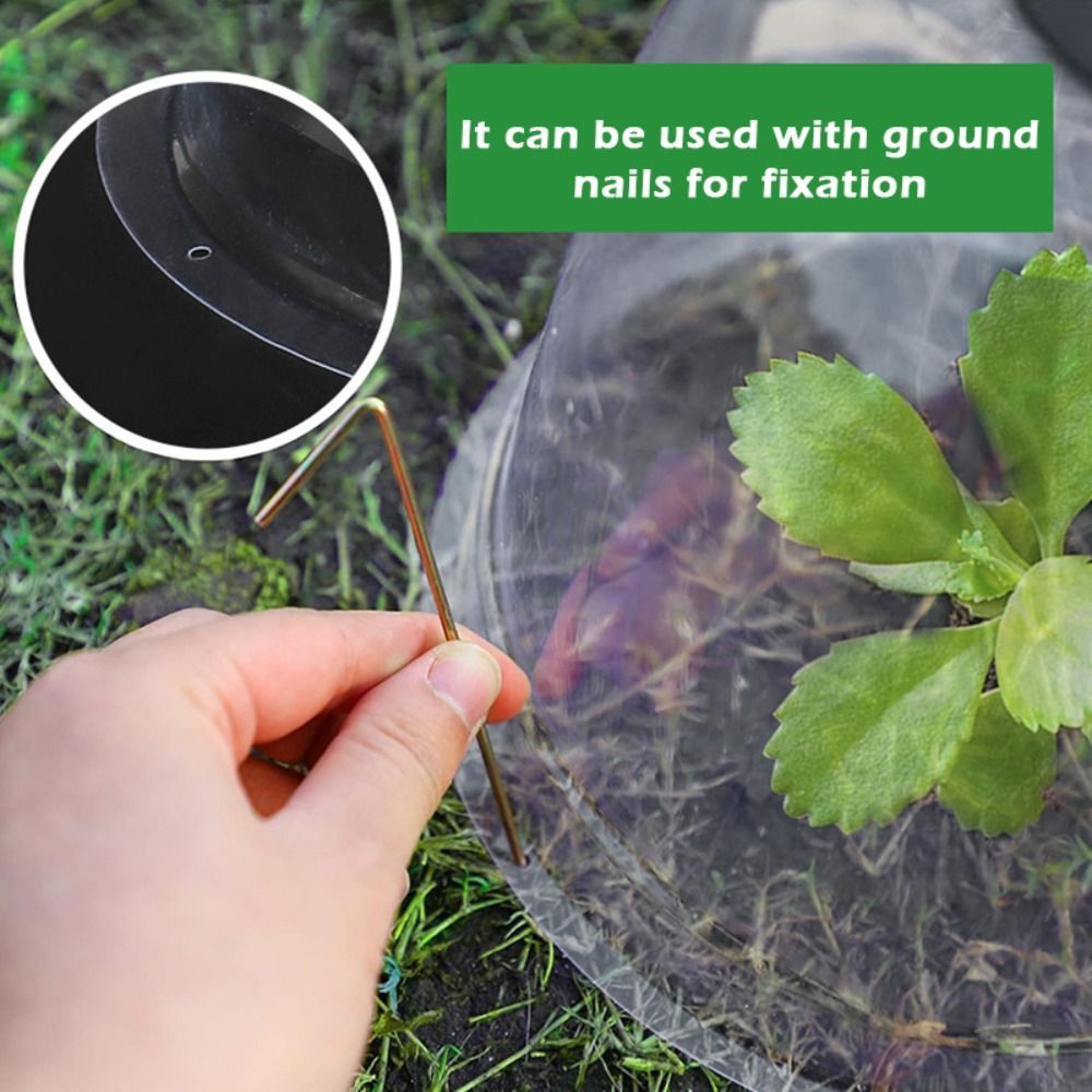 Reusable Clear Plastic Seedlin - Plastic Dome Clear ulasan dan harga