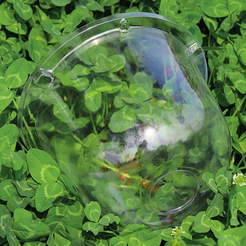Reusable Clear Plastic Seedlin - Plastic Dome Clear ulasan dan harga