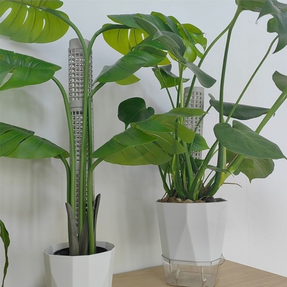 6-Pack Stackable Plant Moss Po - Sphagnum Moss Dry ulasan dan harga