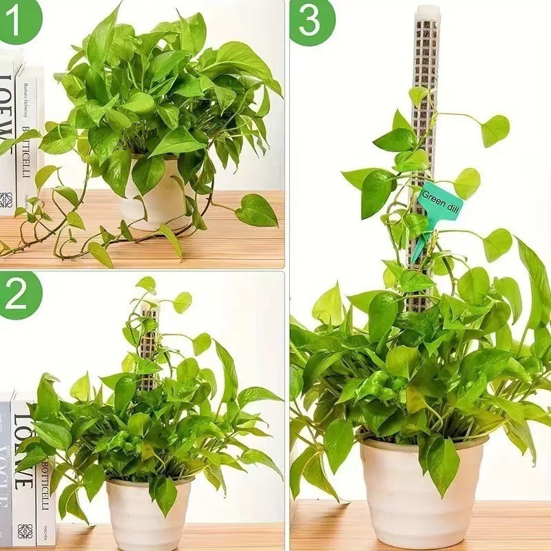 1/2/3pcs Self-watering Moss Po - Sphagnum Moss Dry ulasan dan harga