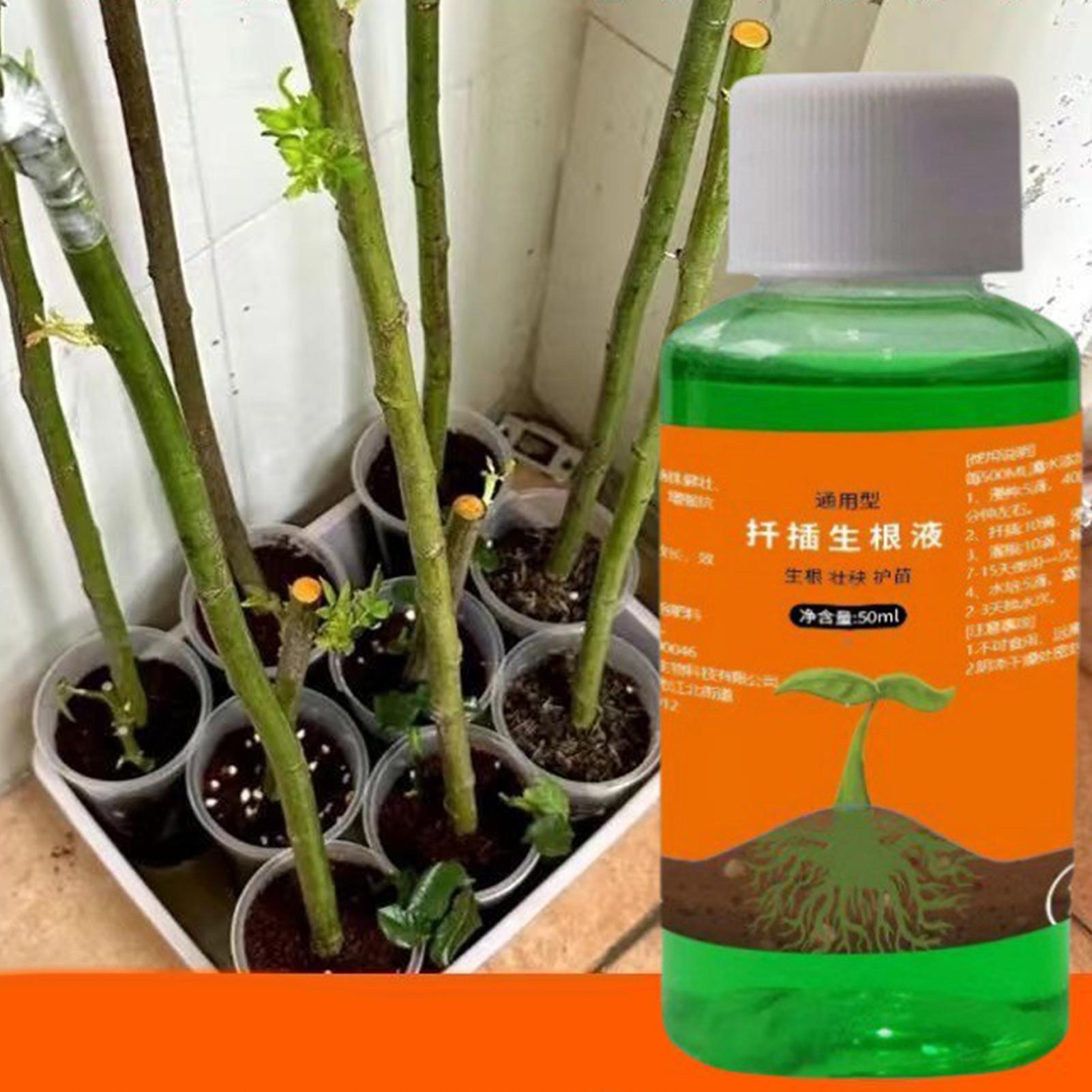 High-Efficiency Root Stimulato - Root Stimulator Liquid ulasan dan harga
