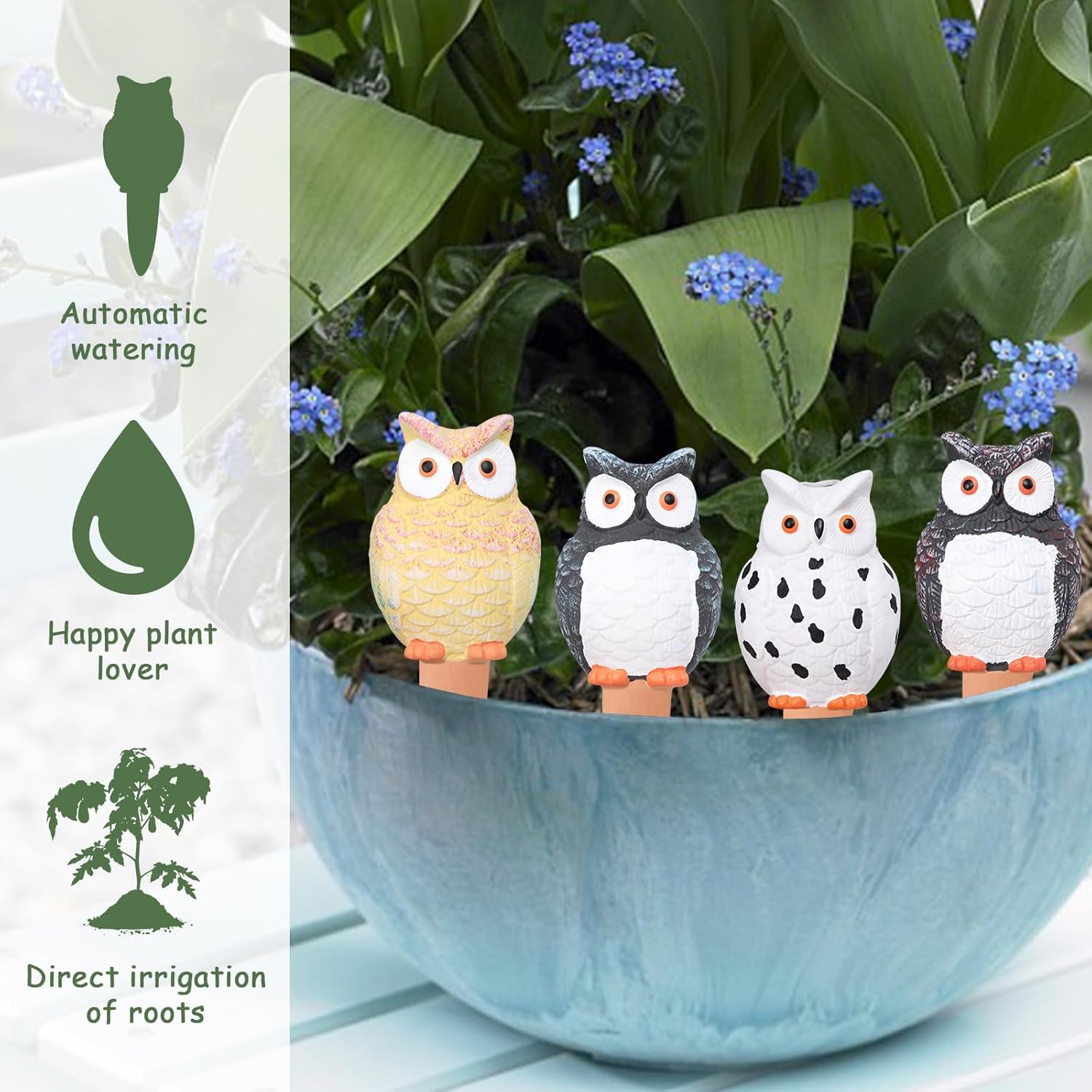 Self Plant Watering Globes Ter - Self Watering Insert ulasan dan harga