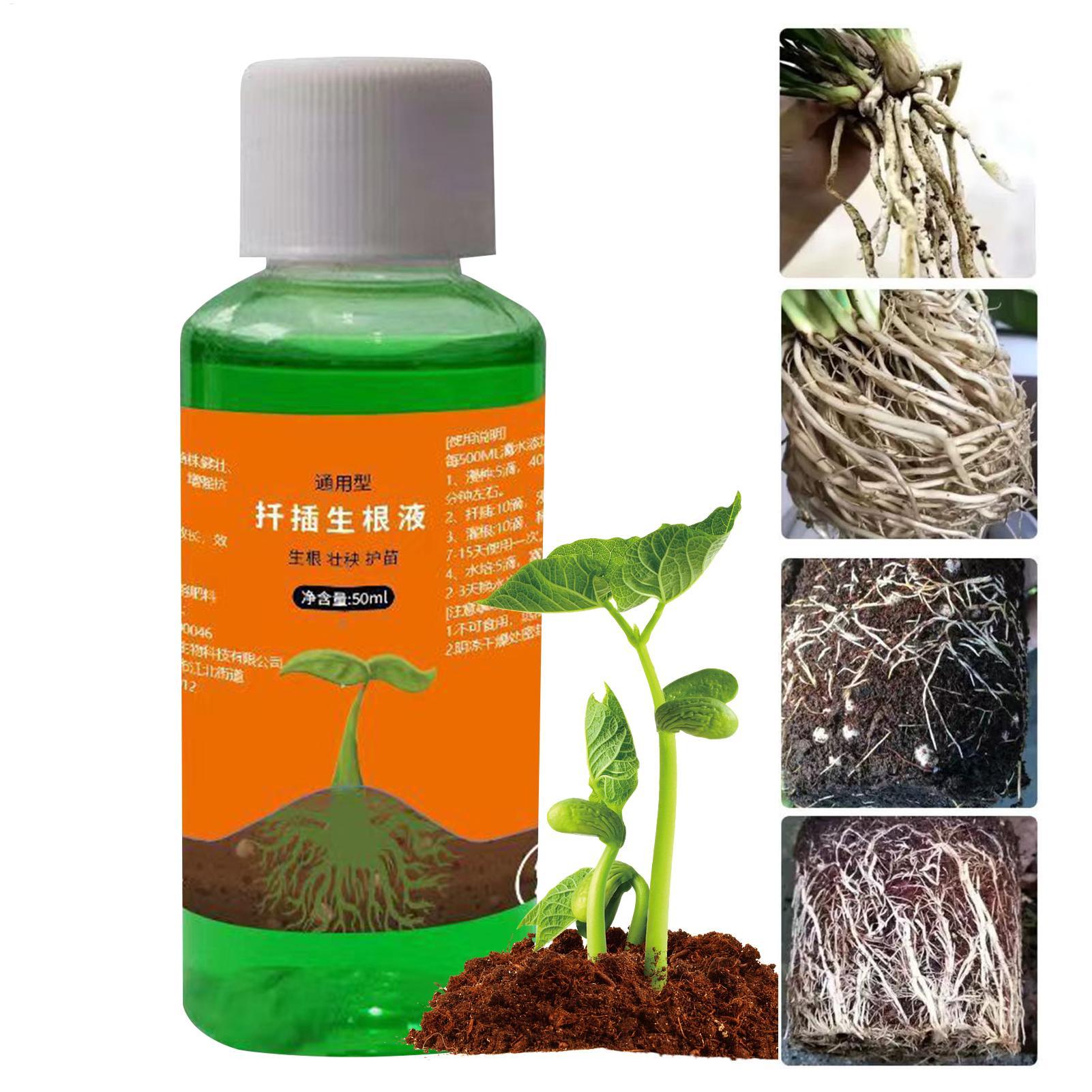 50ml Transplanting Nutrient So - Root Stimulator Liquid ulasan dan harga