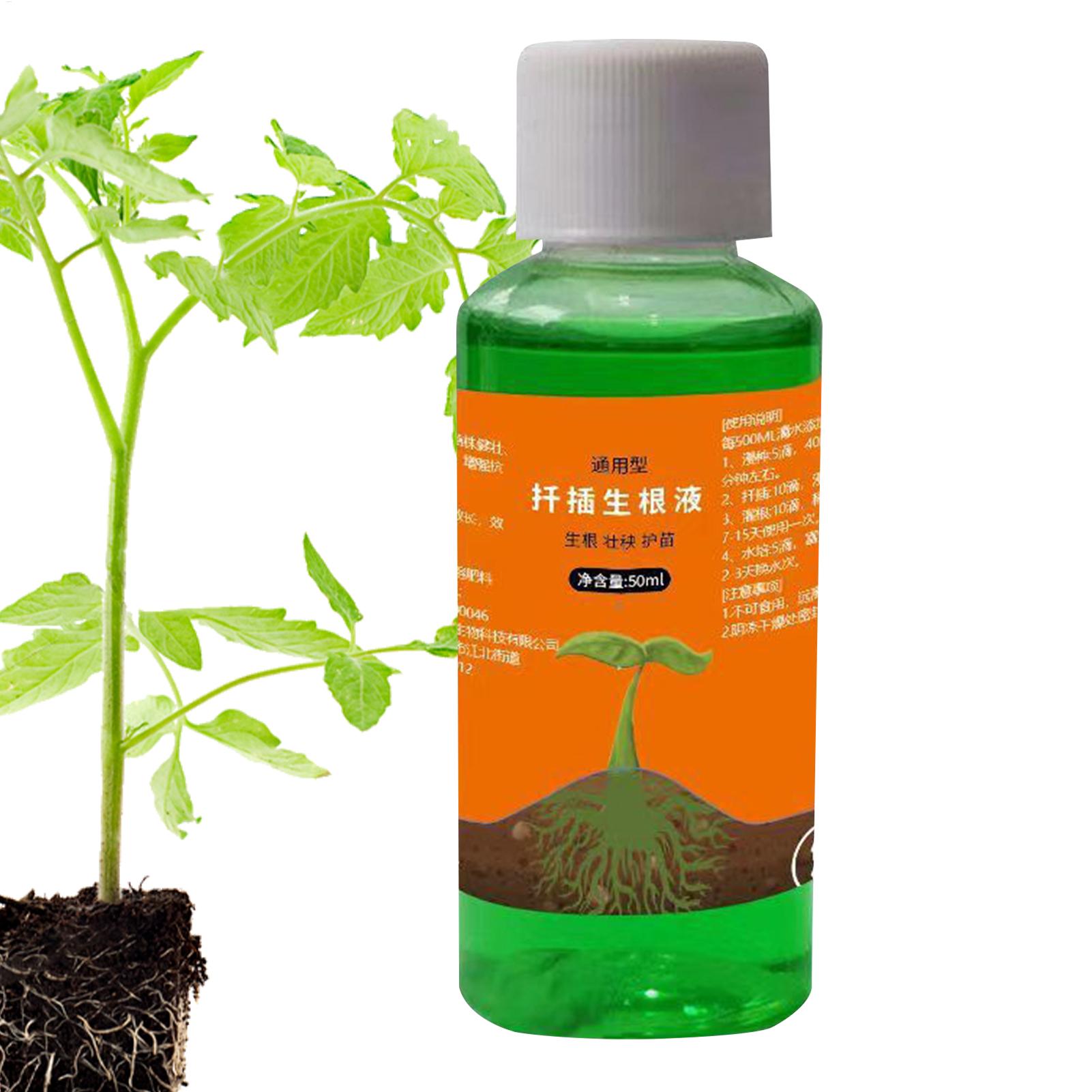 50ml Transplanting Nutrient So - Root Stimulator Liquid ulasan dan harga