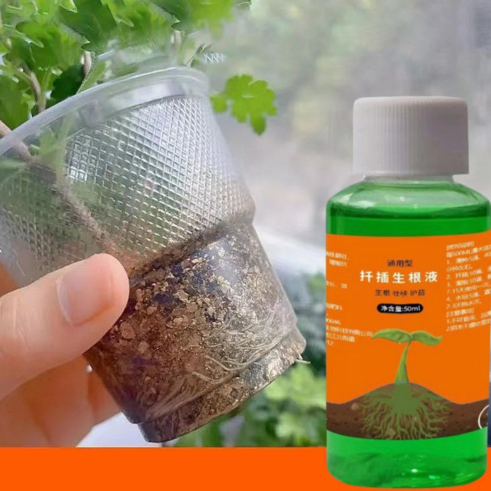 50ml Transplanting Nutrient So - Root Stimulator Liquid ulasan dan harga