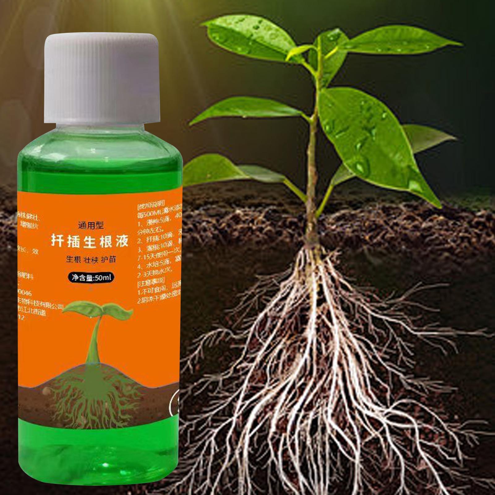50ml Transplanting Nutrient So - Root Stimulator Liquid ulasan dan harga