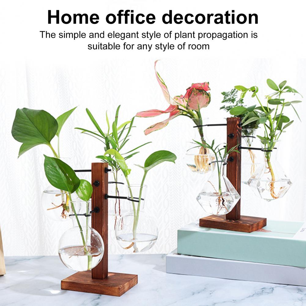 1 Set 10*25cm Plants Propagati - Propagation Station Vase ulasan dan harga