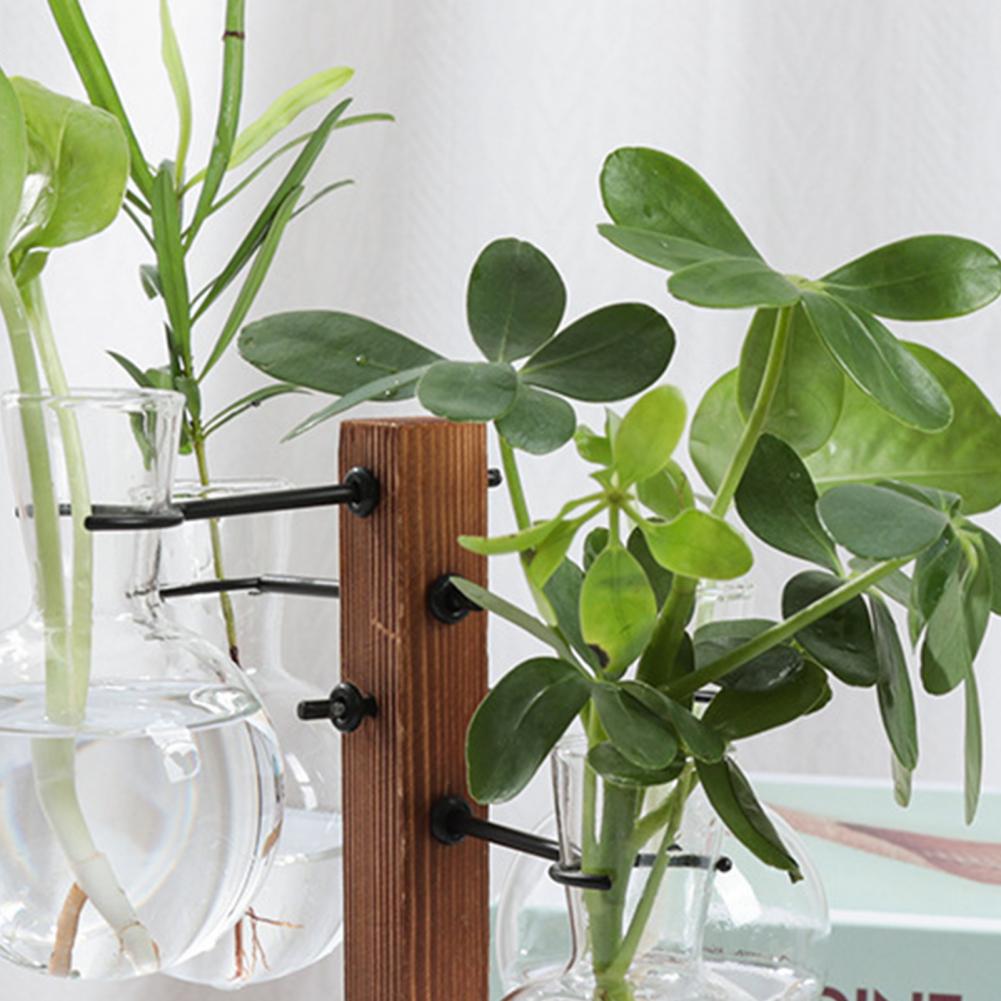 1 Set 10*25cm Plants Propagati - Propagation Station Vase ulasan dan harga