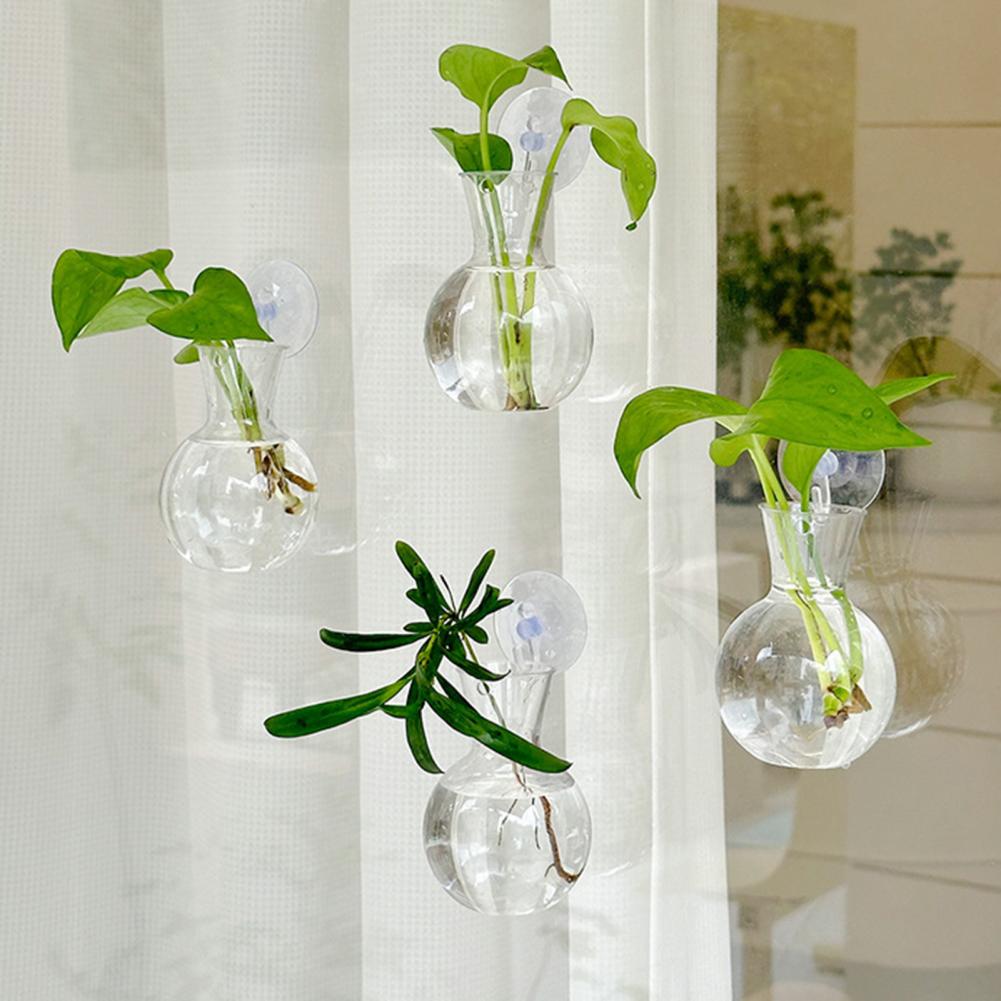 1/2/3/4/6/8Pcs Plant Propagati - Propagation Station Vase ulasan dan harga