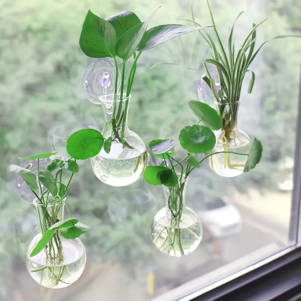 1/2/3/4/6/8Pcs Plant Propagati - Propagation Station Vase ulasan dan harga